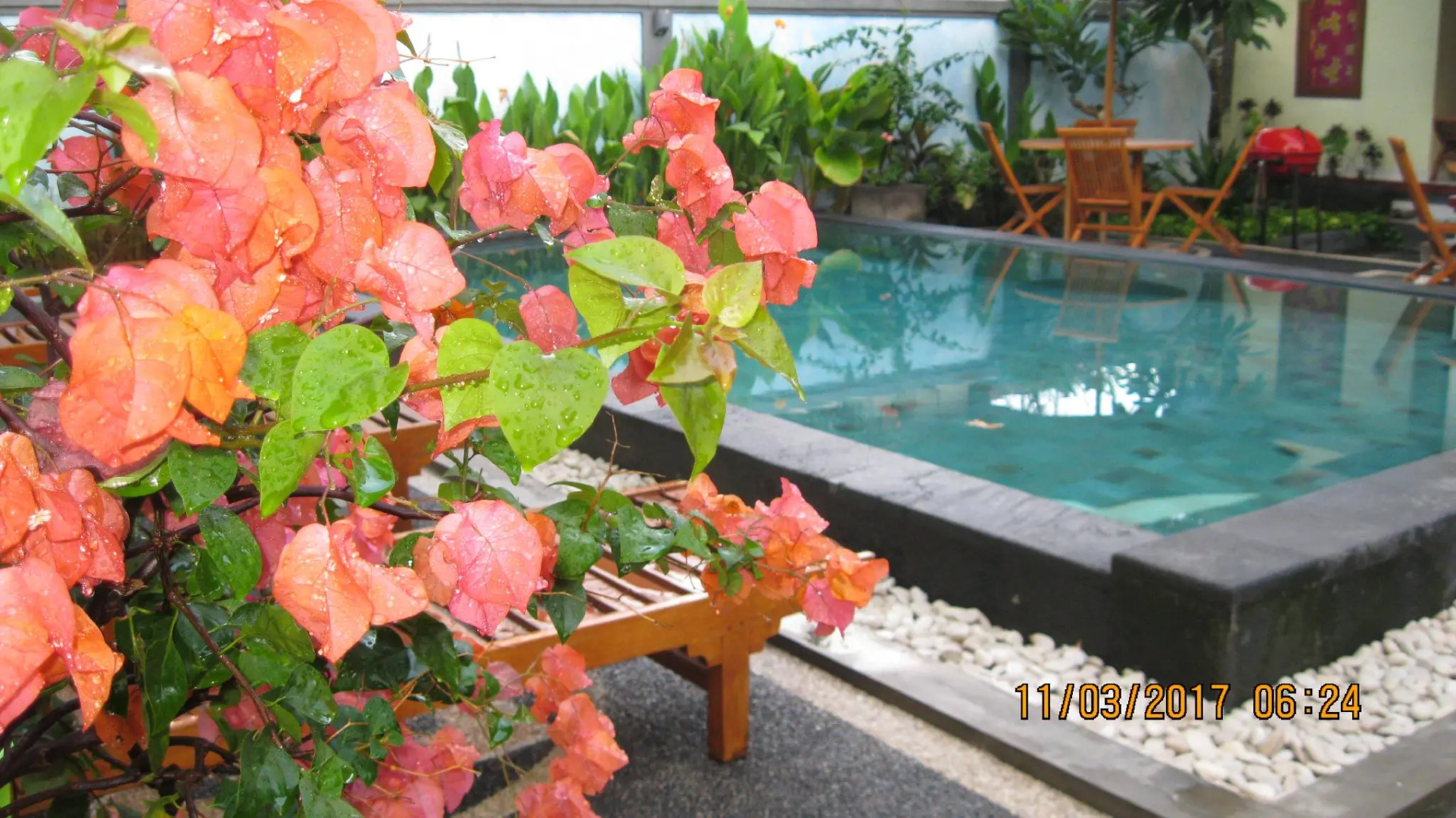Puri Clinton Bali Homestay
