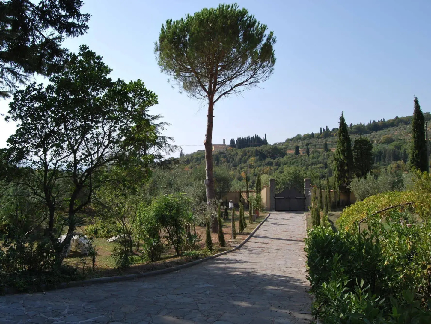 Ulivi di Castello