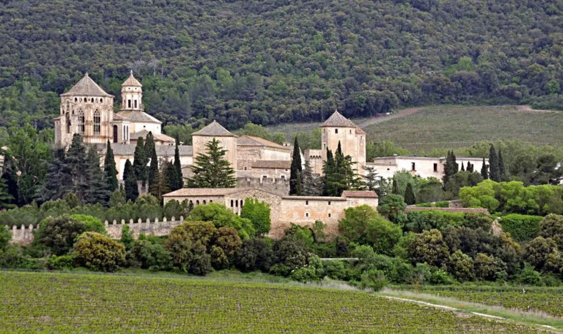 Abadia-4