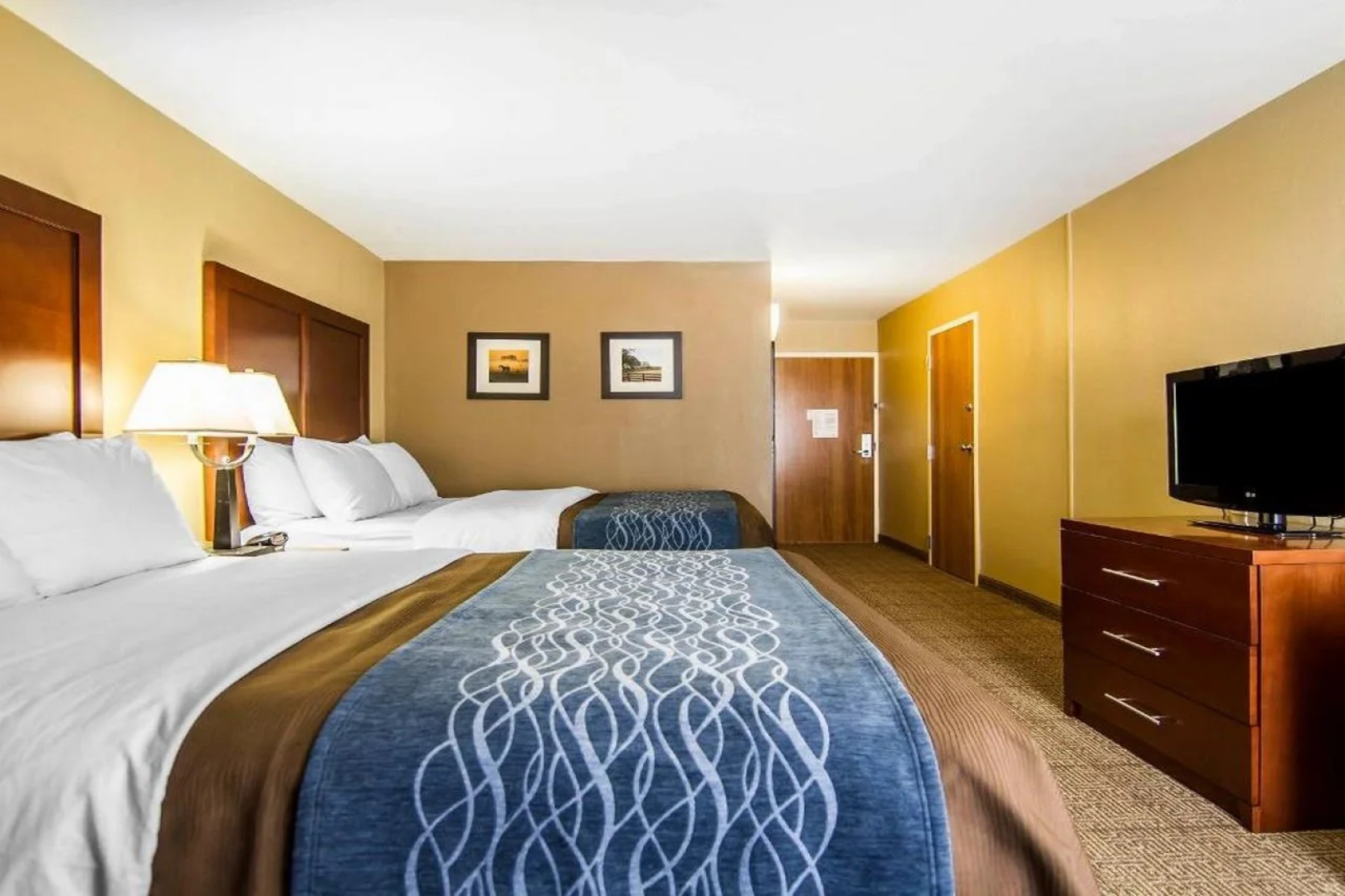 Comfort Inn and Suites Plano East