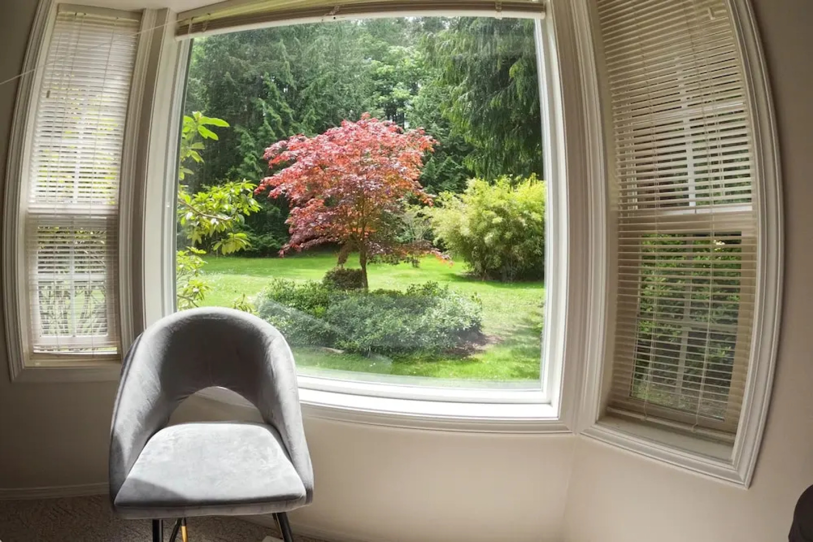 Sea La Vie Rare Peaceful Hidden Gem