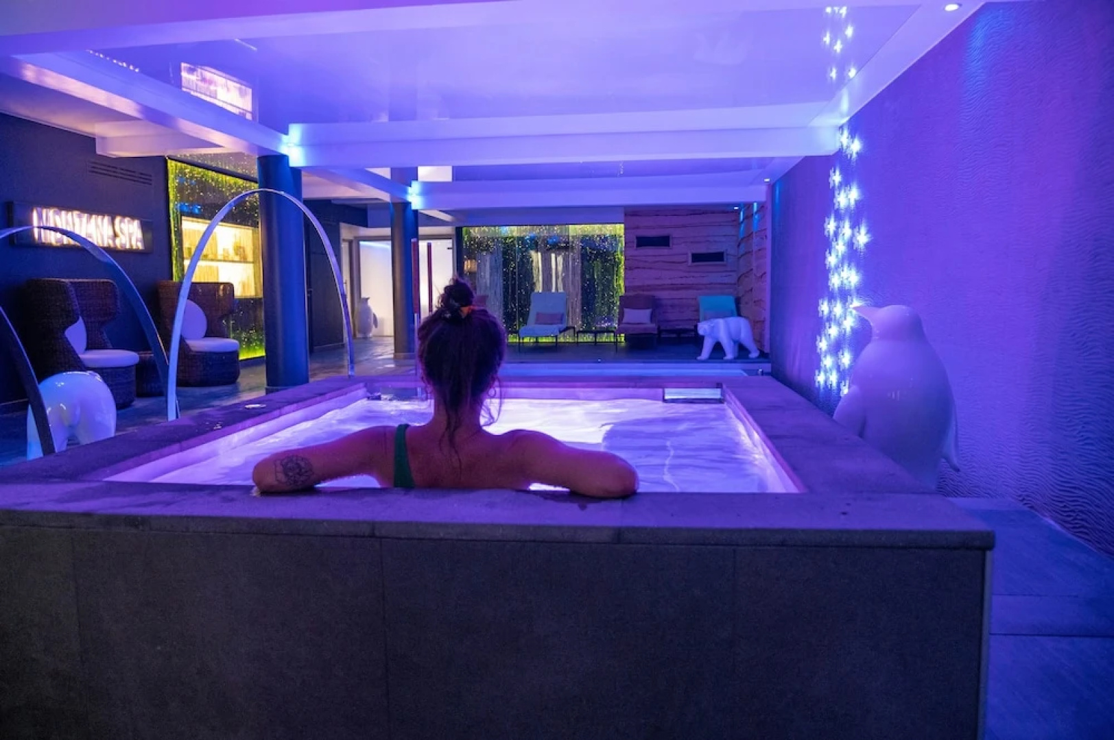 Montana Chalet Hôtel Spa