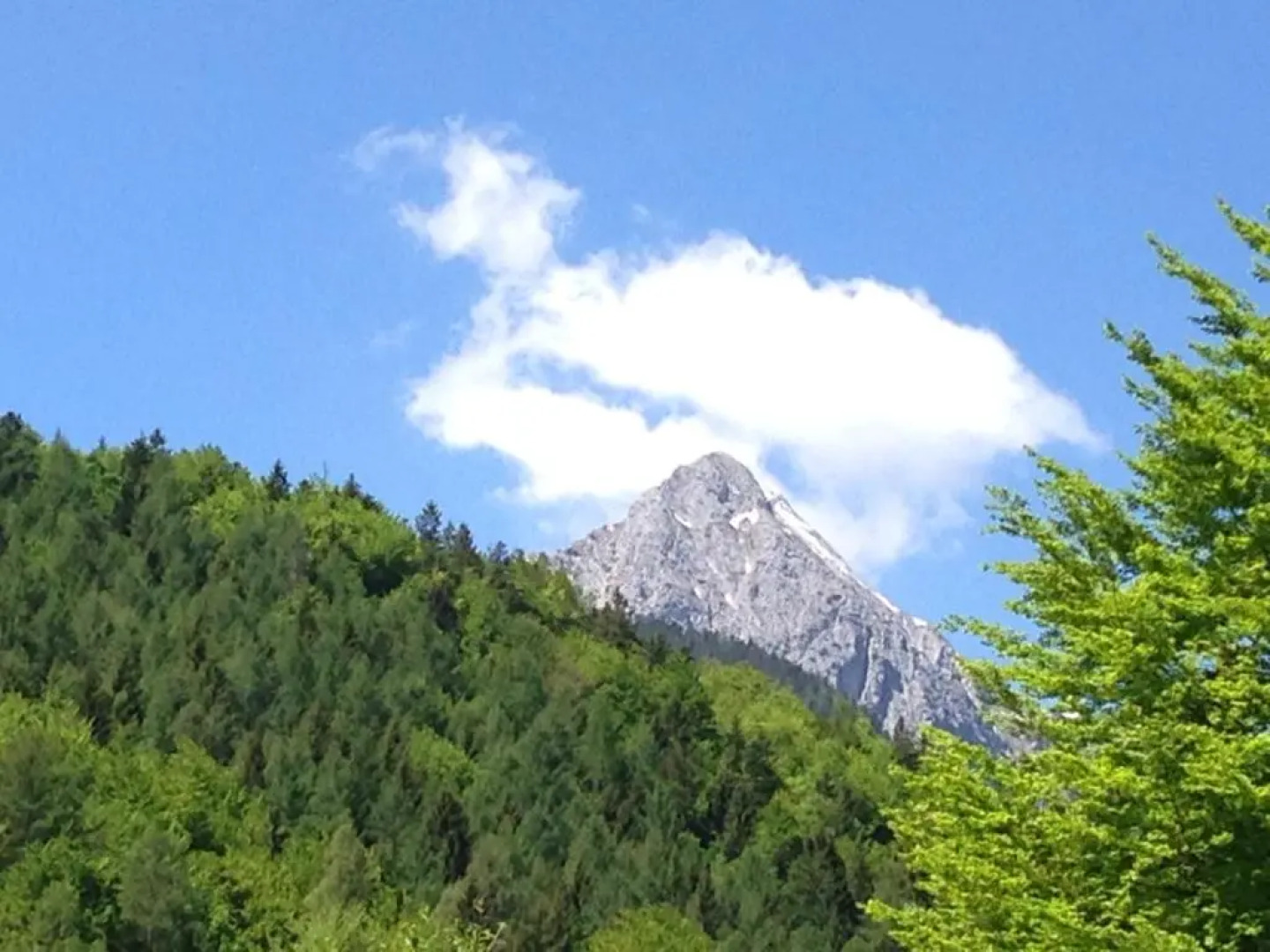 Gästehaus Franziska