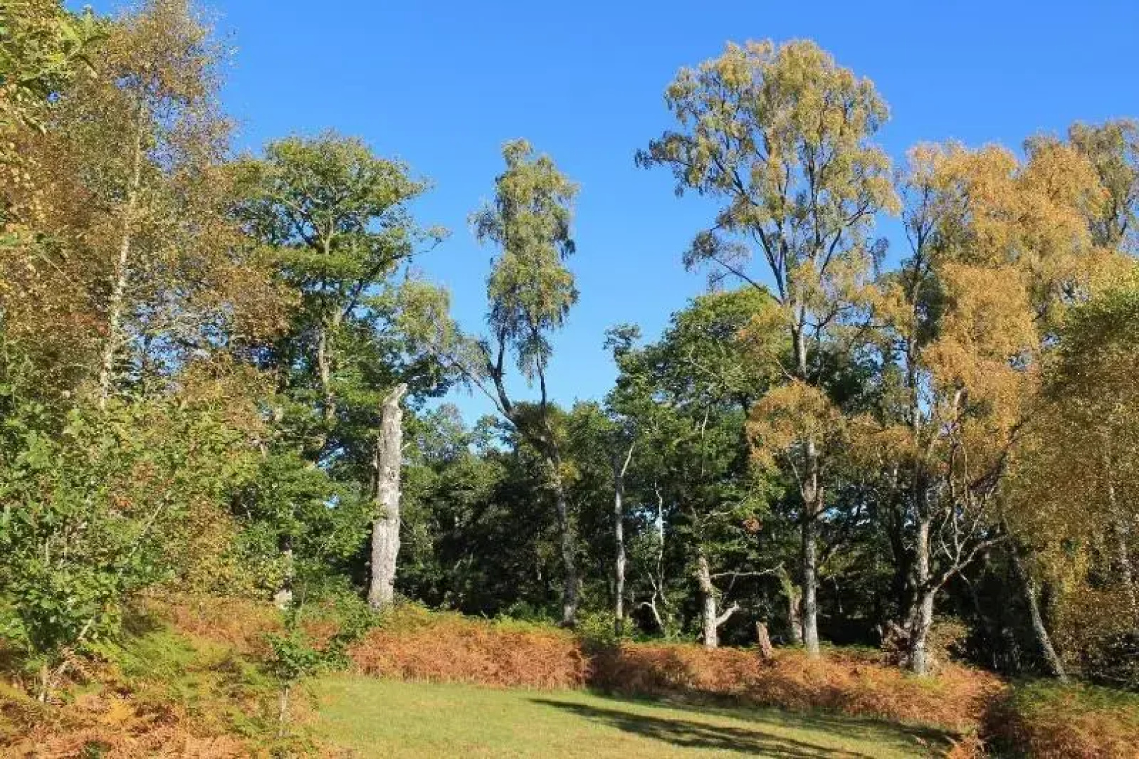 The Braes Guest House