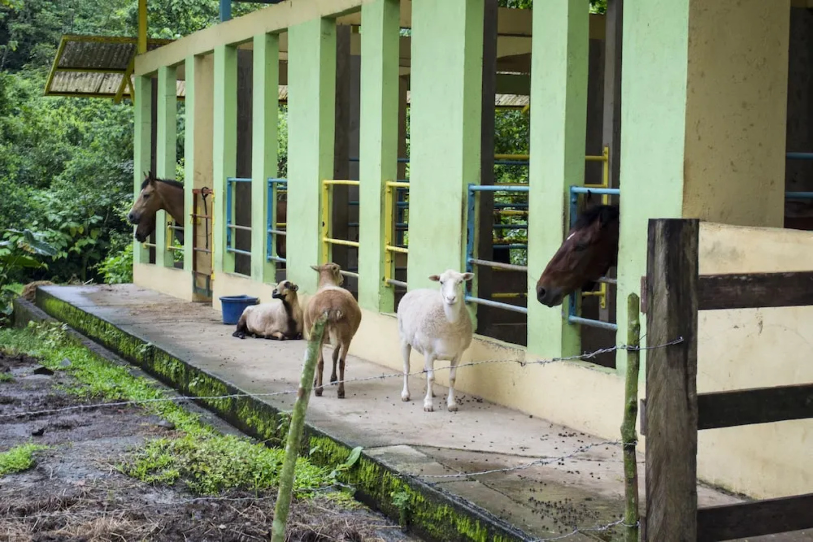 Lands in Love Tierras Enamoradas