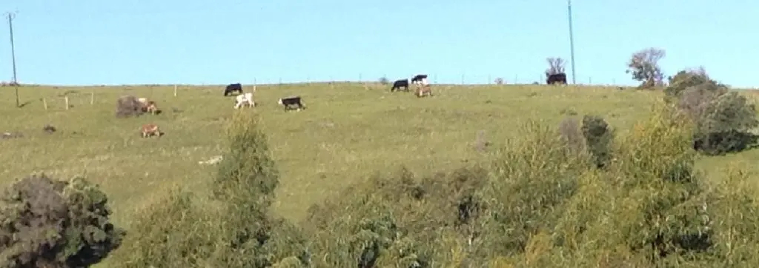 Port Elliot rural retreat