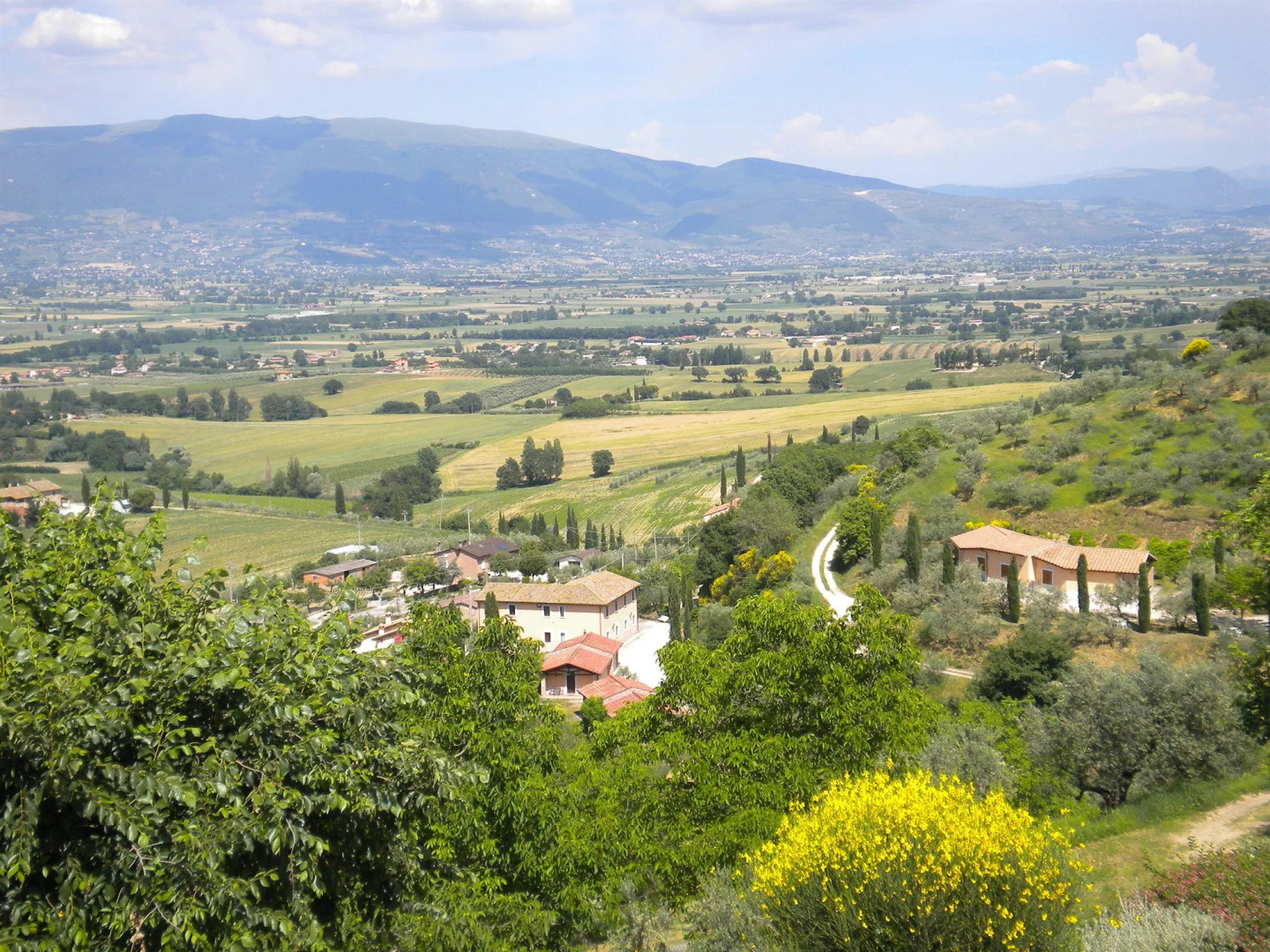 Agriturismo Poggio Degli Olivi - Guest House