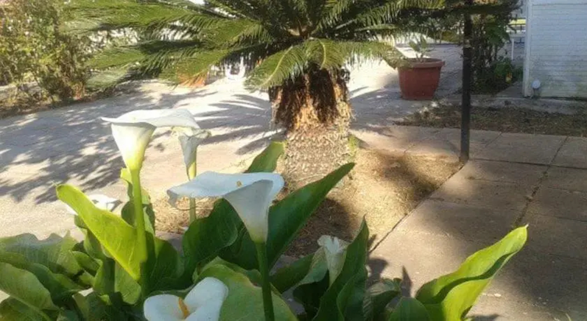 Villa Oasi Cesare