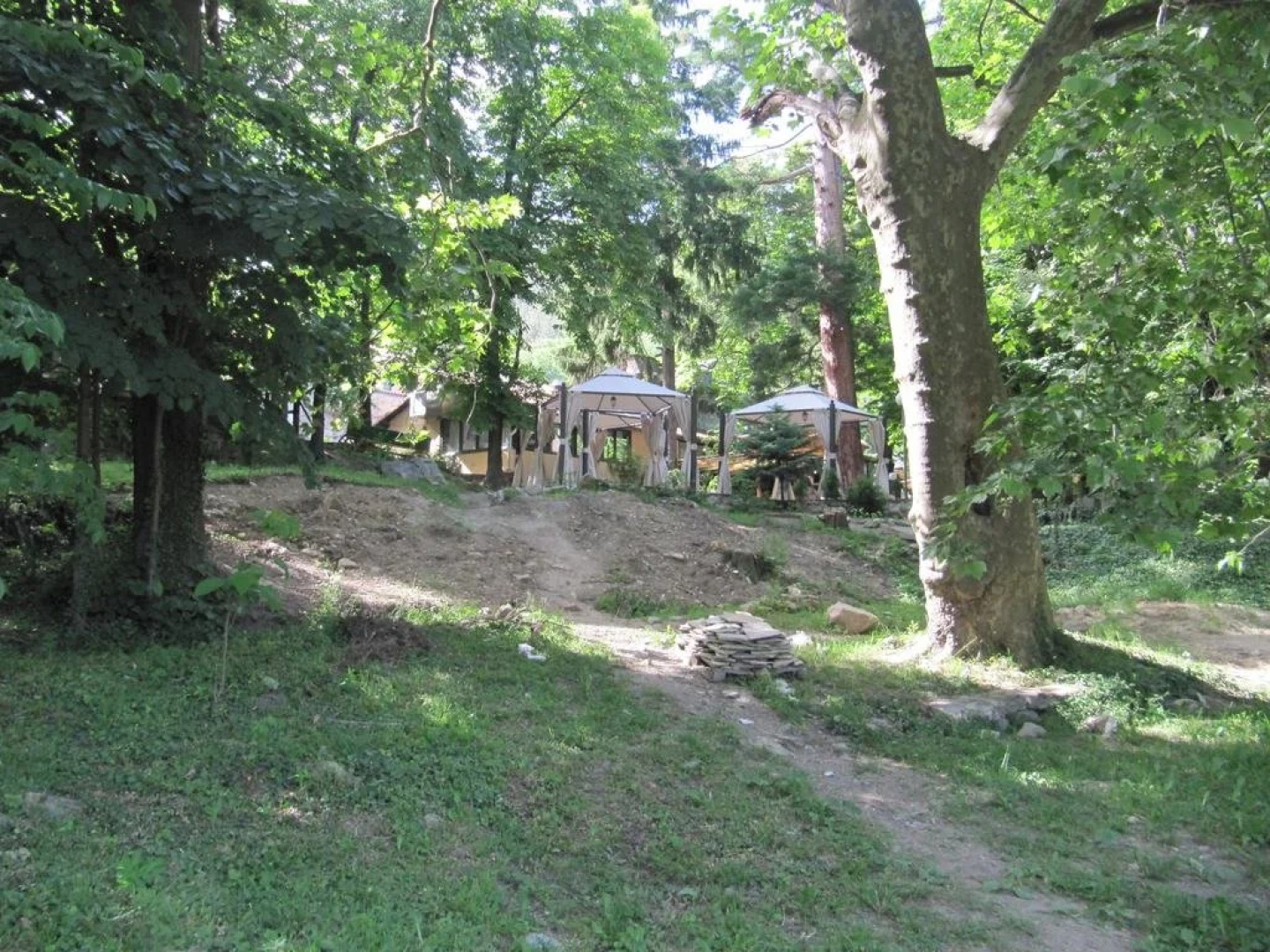 The Zoev House