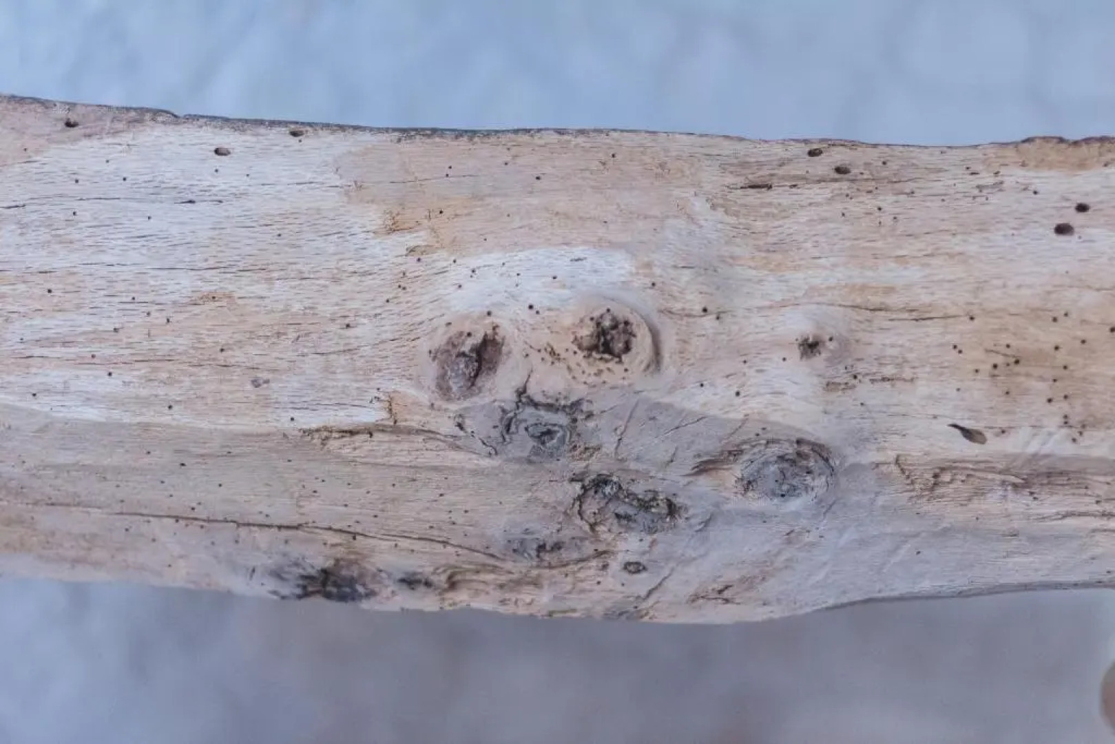 Borgo Sardedda Suites