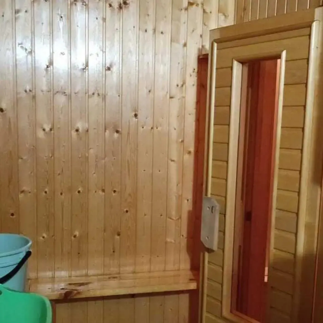Двухэтажный дом с баней Рябинушка 3