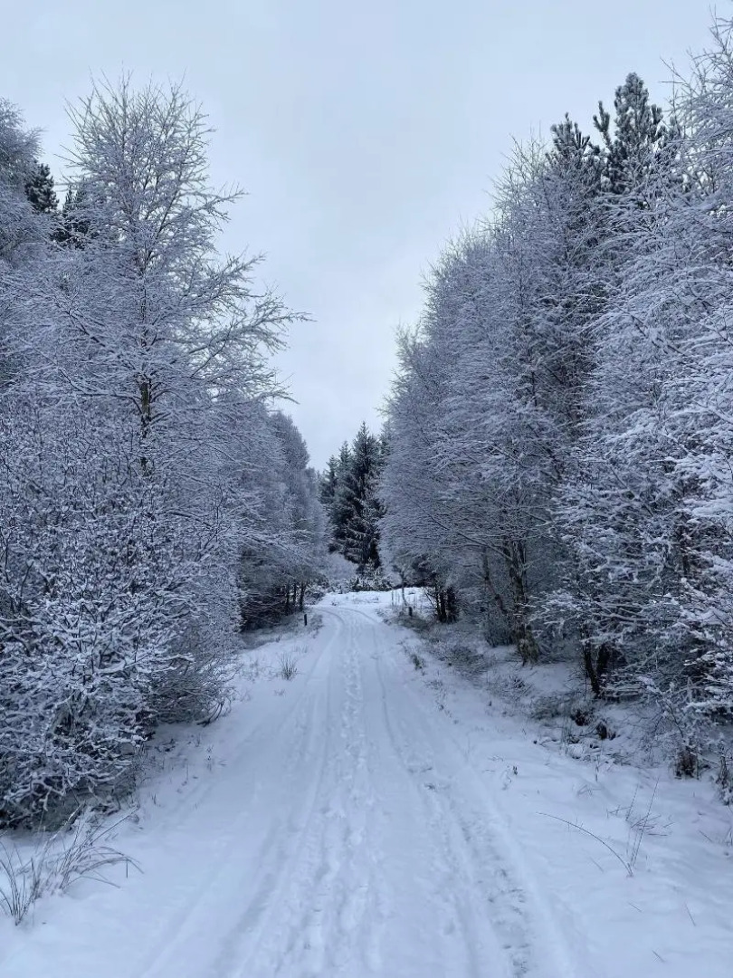 Glenan Lodge Guest House