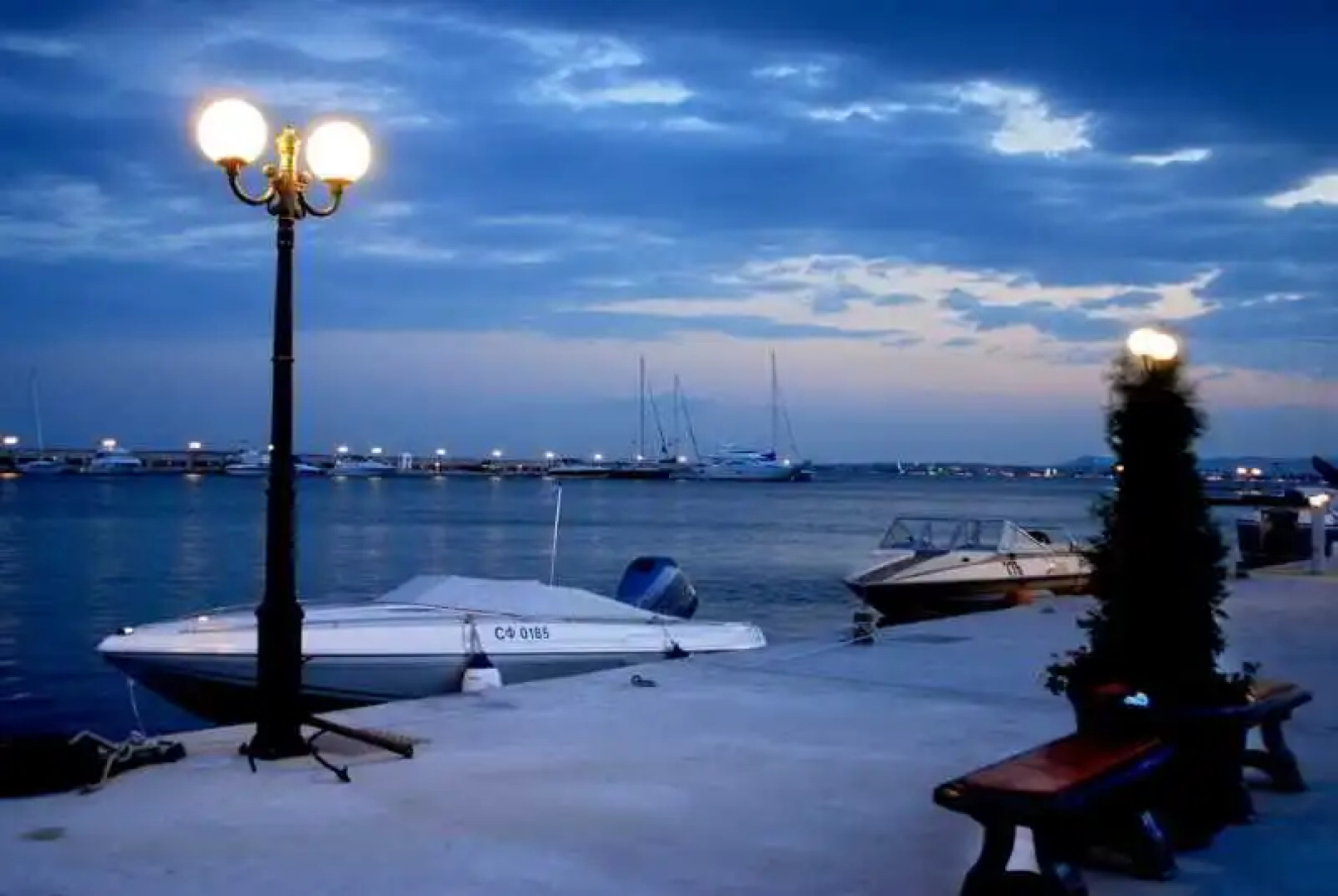 Vip Club Dolphin Coast