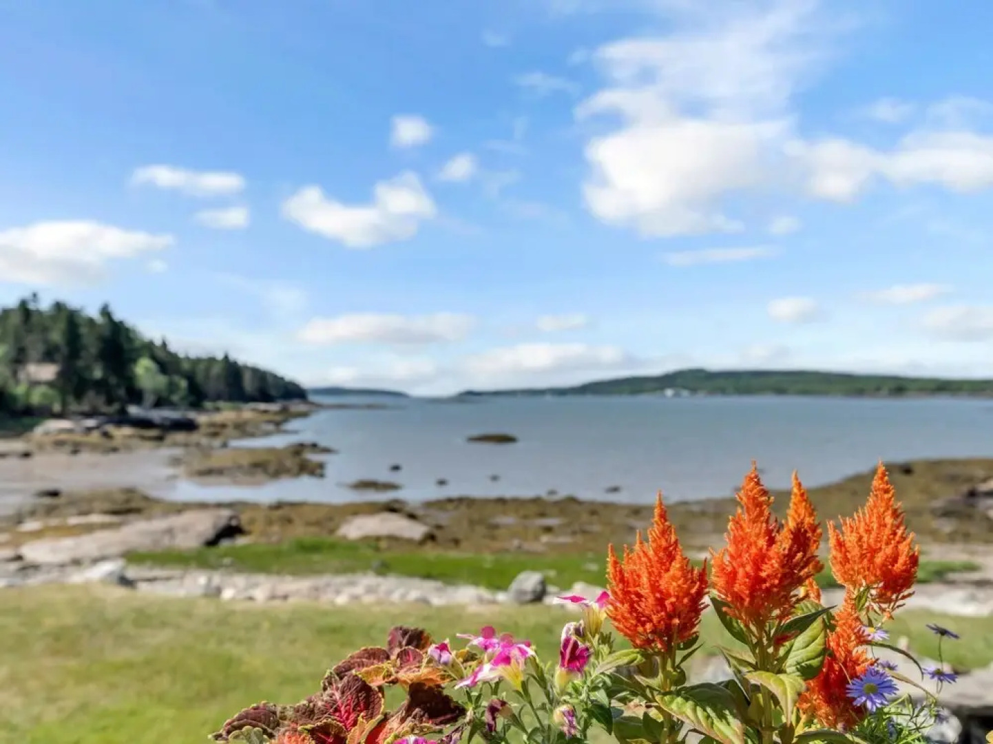 Picturesque Island Cottage 2 Bedroom Home by RedAwning