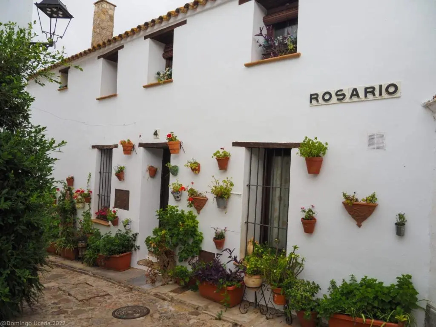 Ochomin Hostel