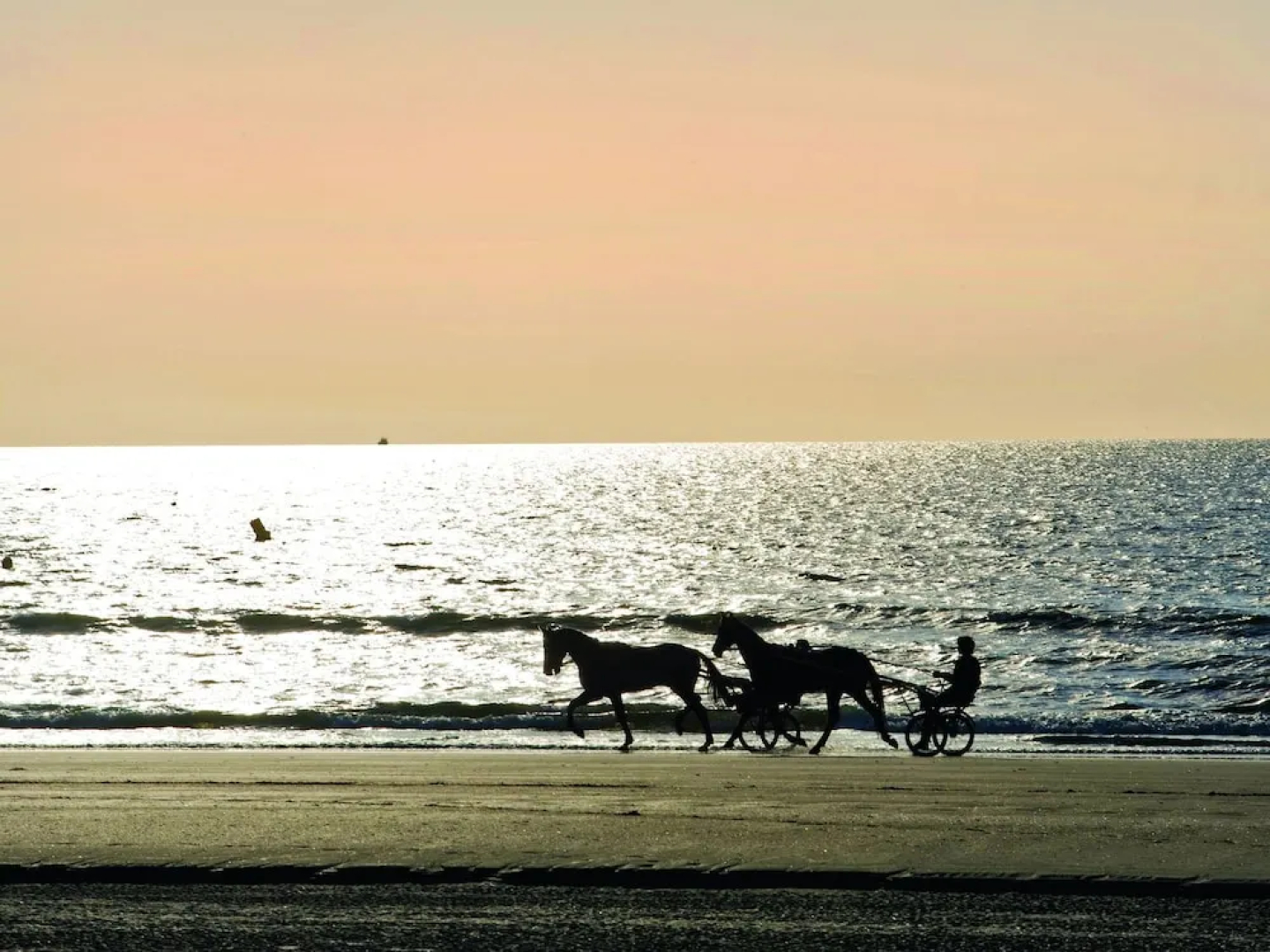 Traditional Apartment With Balcony or Terrace in Deauville