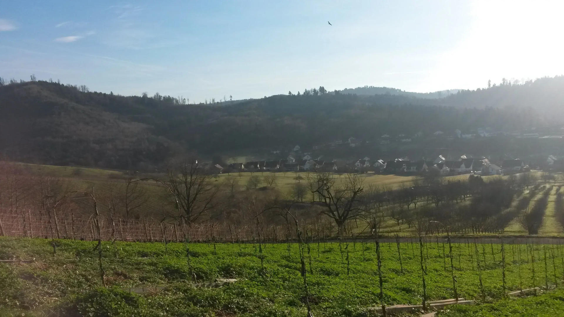 Gästehaus Eckenfels