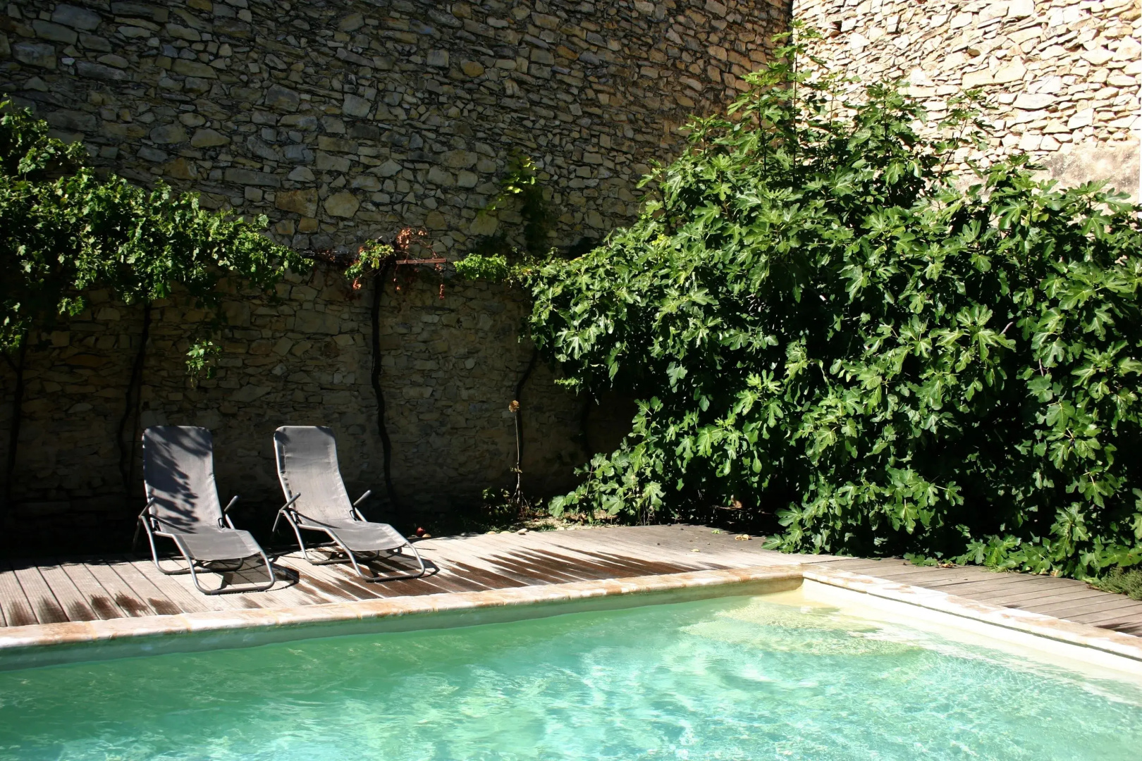 Chambres d'Hotes La Rose