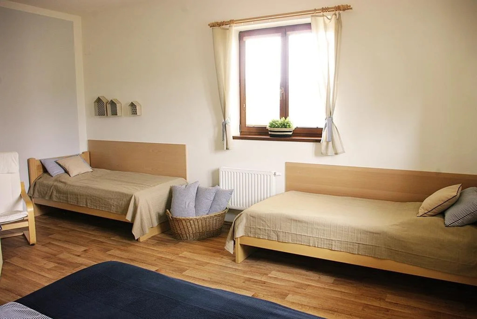 Švihák lázeňský