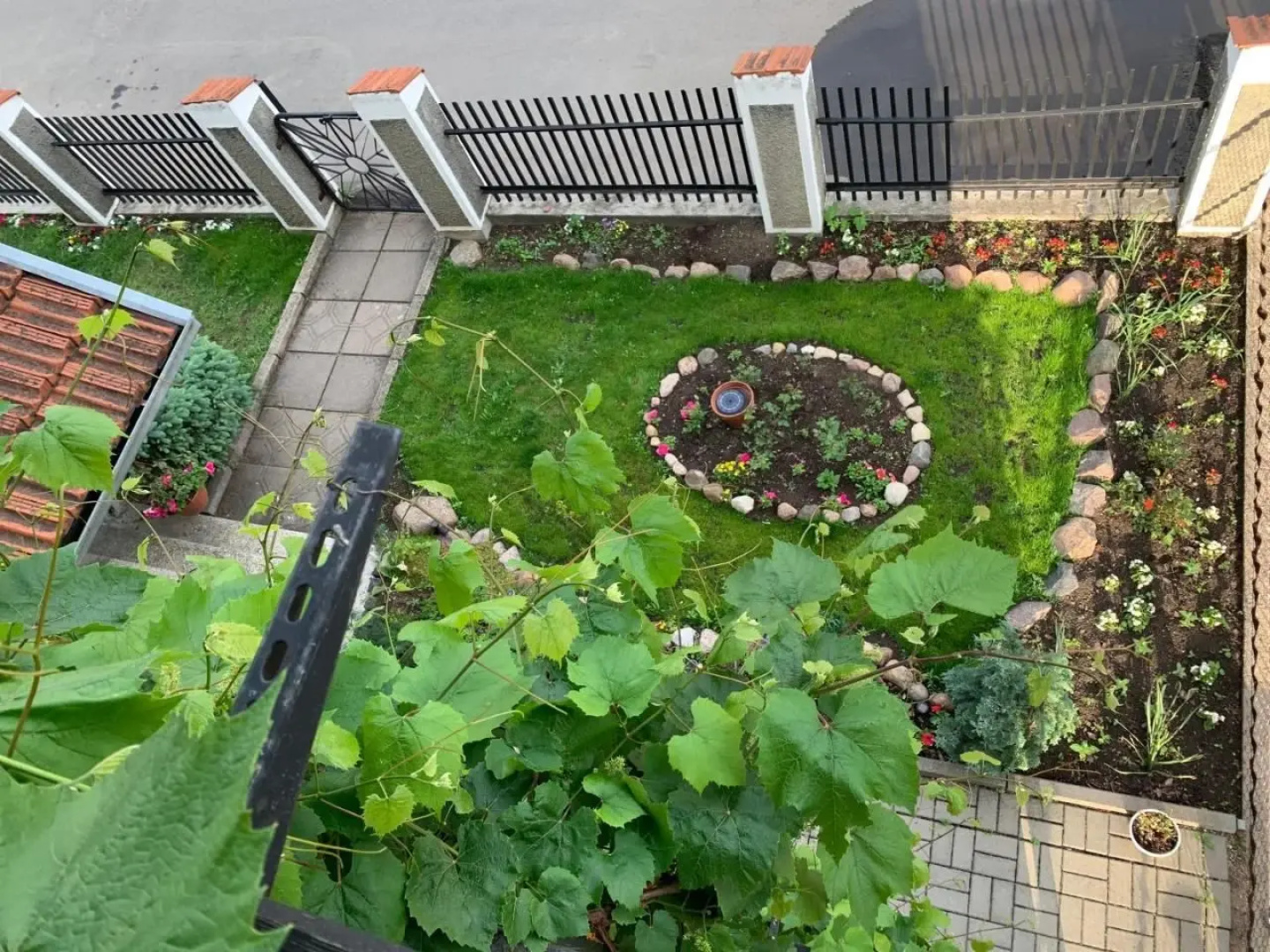 Regina Guest House