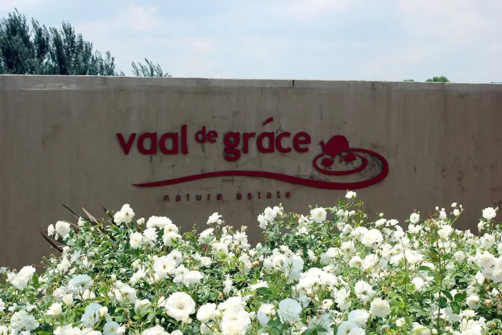 466 Vaal de Grace