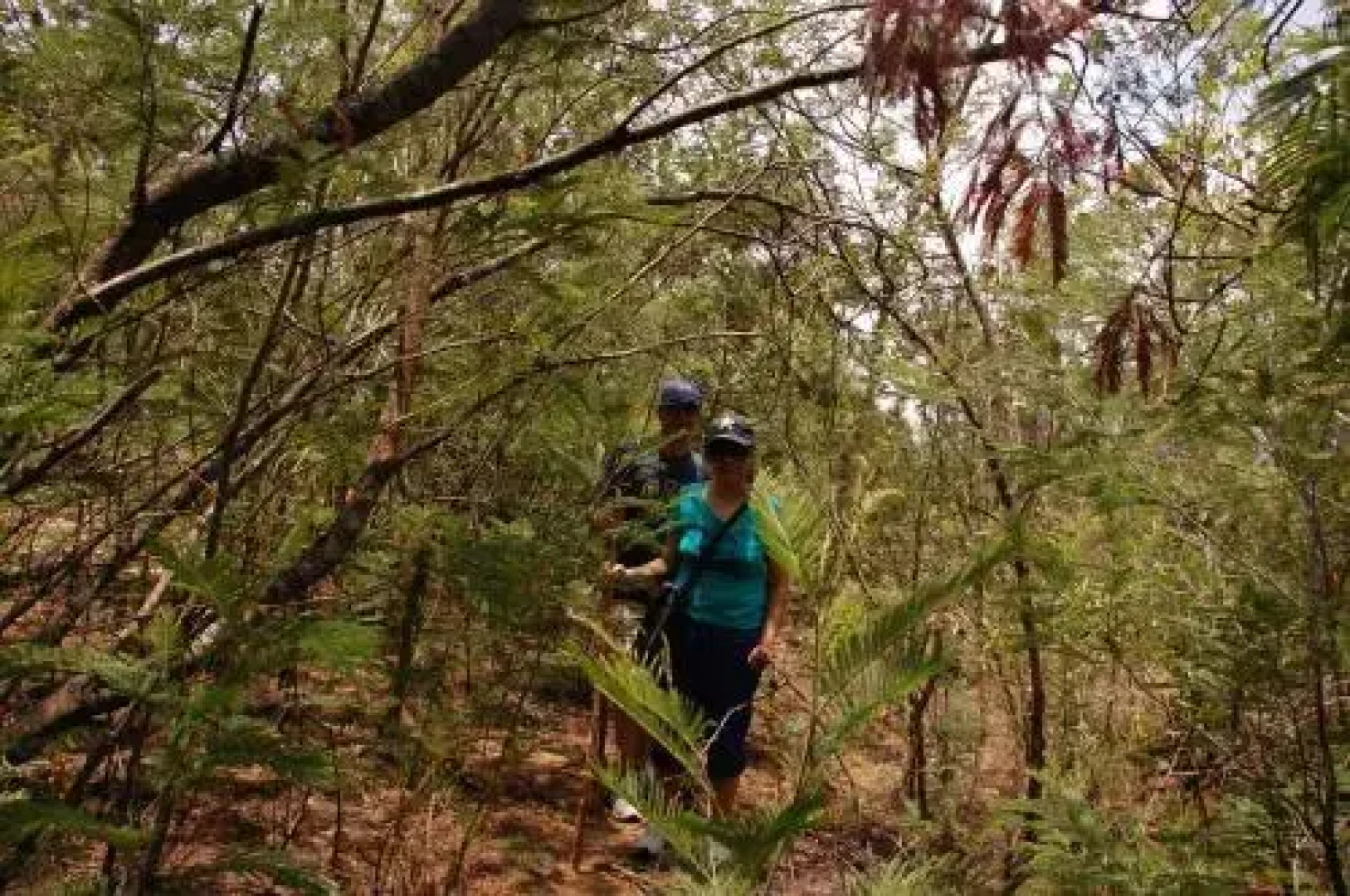 Wild Walkers by Vista Rooms