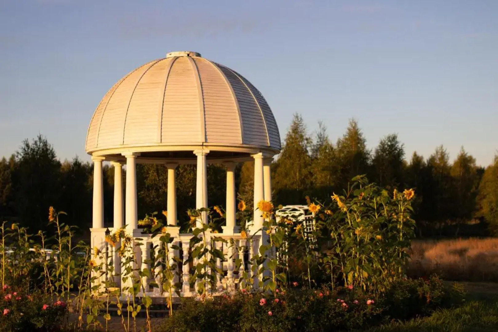 Cardinal Palace Centrum Konferencyjno-Wypoczynkowe