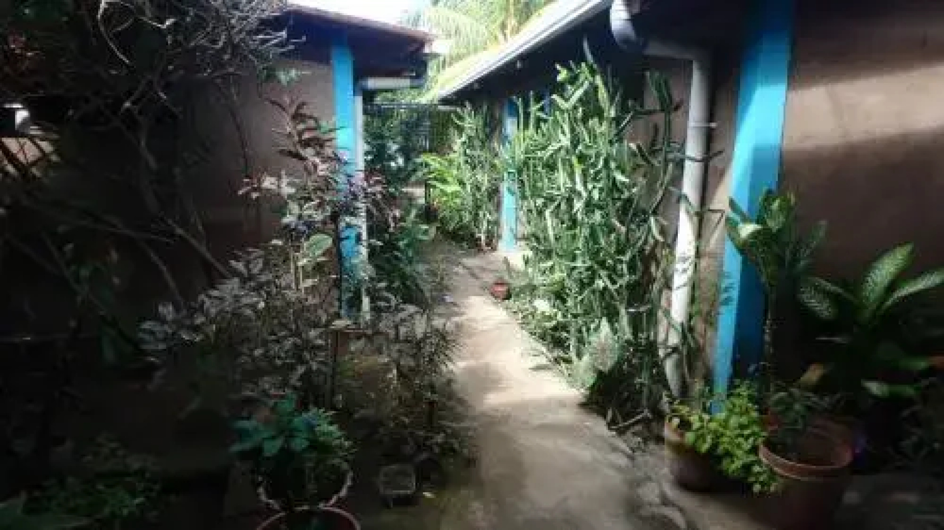 The Lazy Turtle Hotel and Restaurant