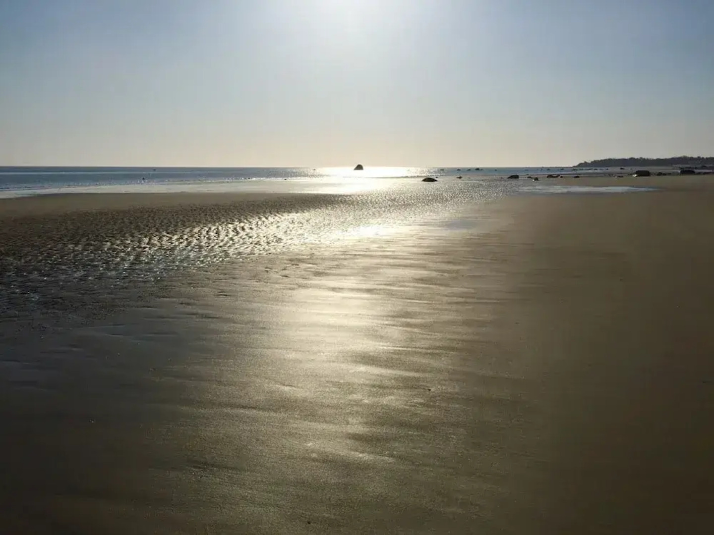 All New Beautiful Priscilla Beach House Ocean View