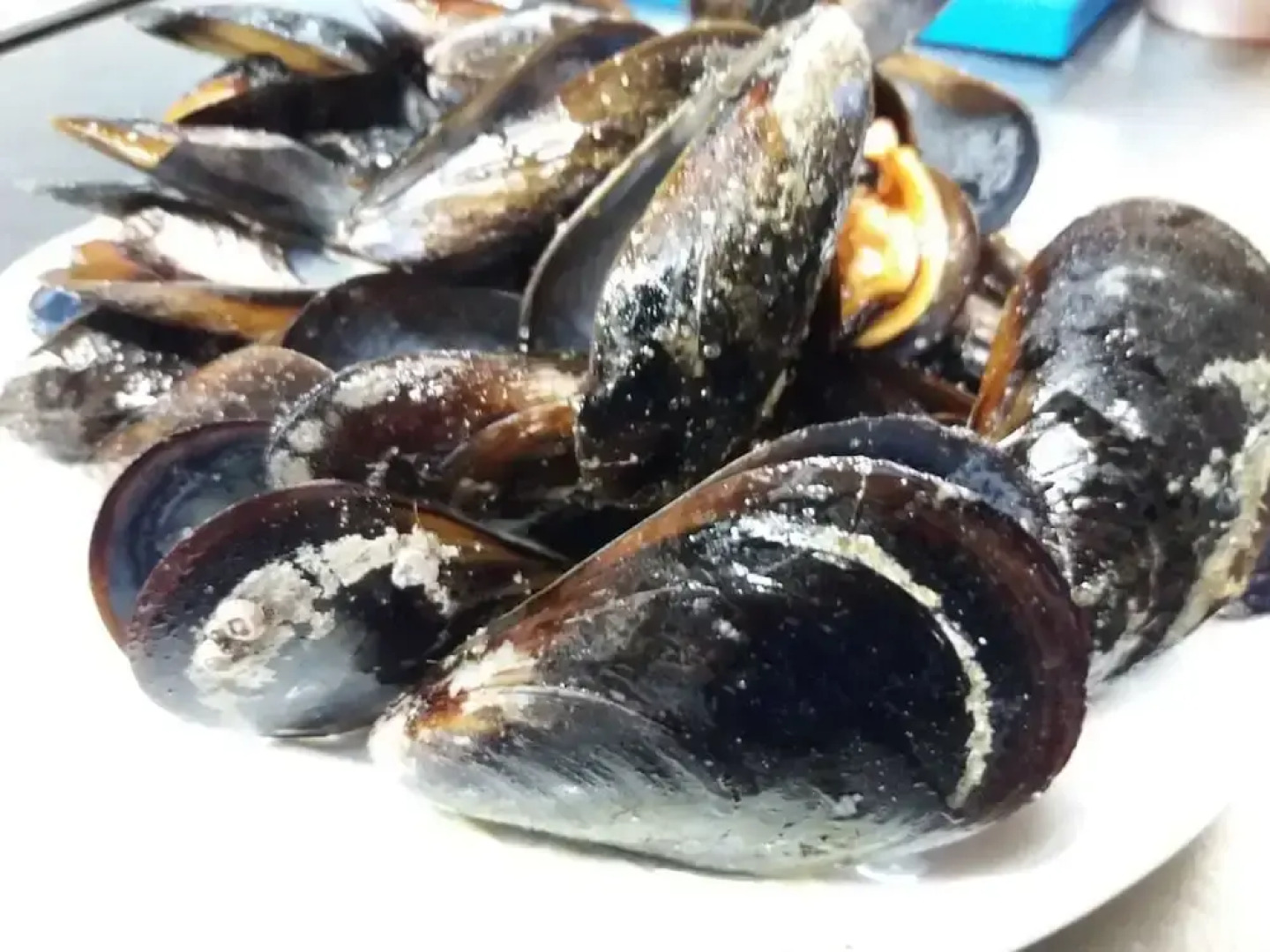 Holiday home Planas del Rei Planas del Rei