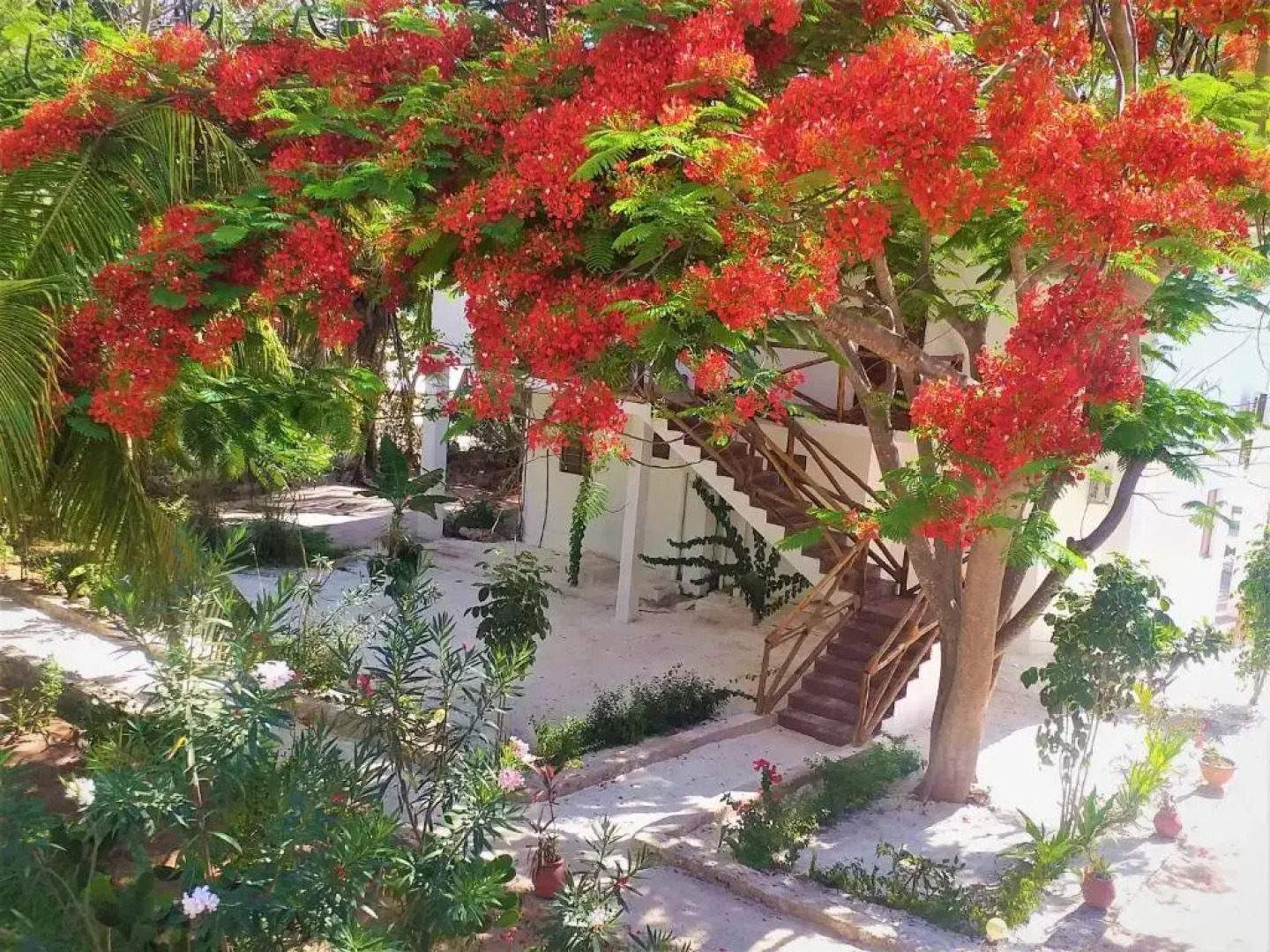 Kaure Sand Beach Lodge