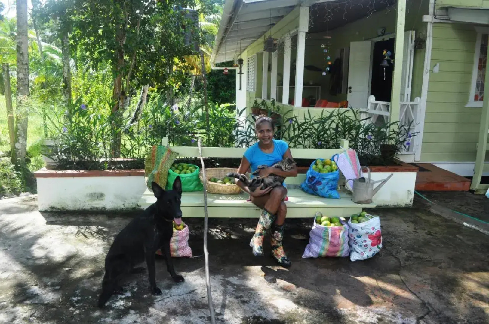 The Leatherback Lodge