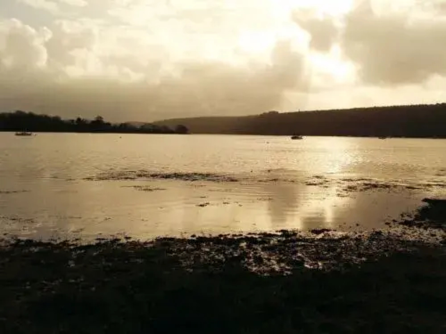House Narber Puerto de la Cruz