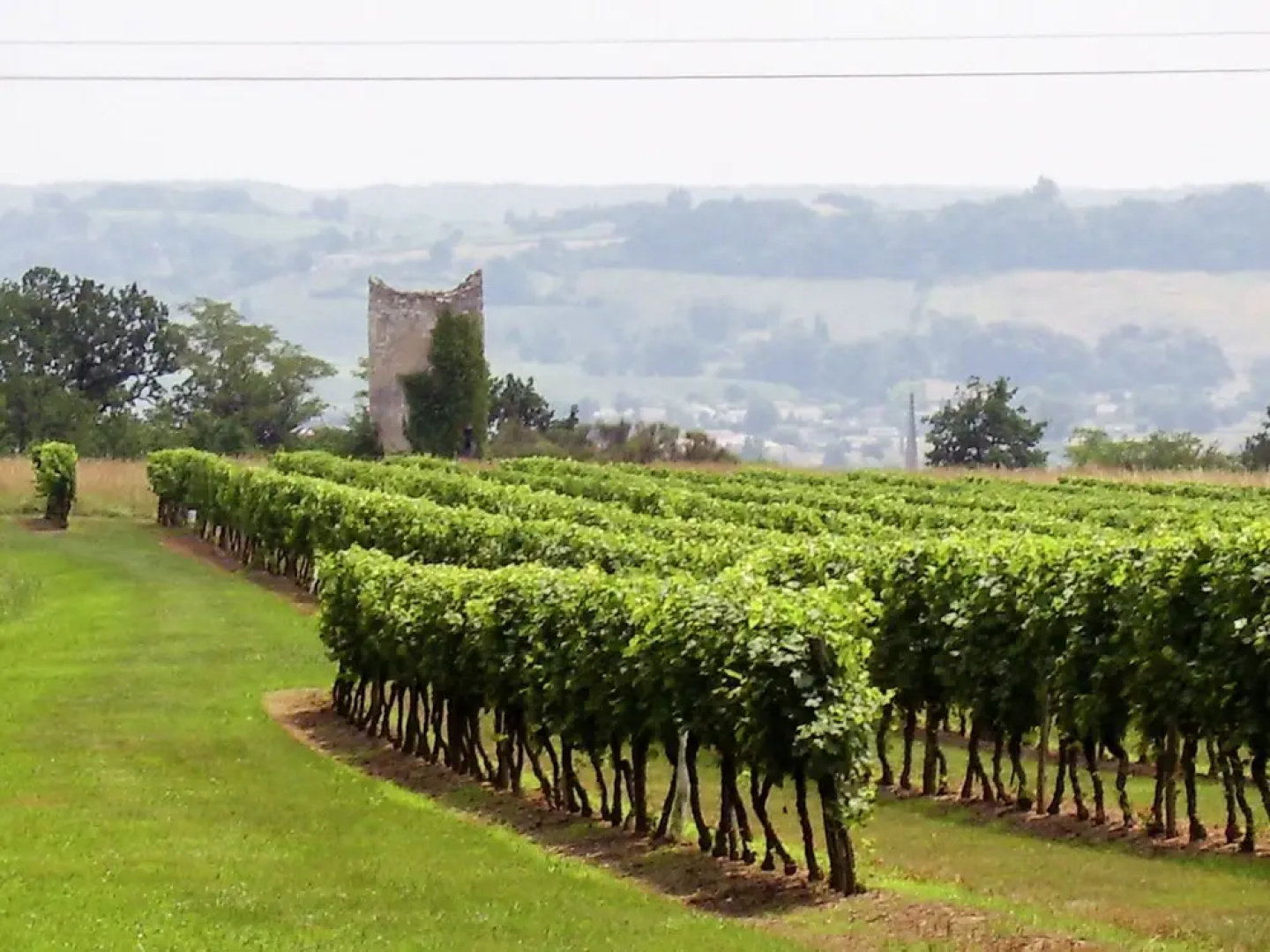 Warm Mansion with Swimming Pool in Sigoules France