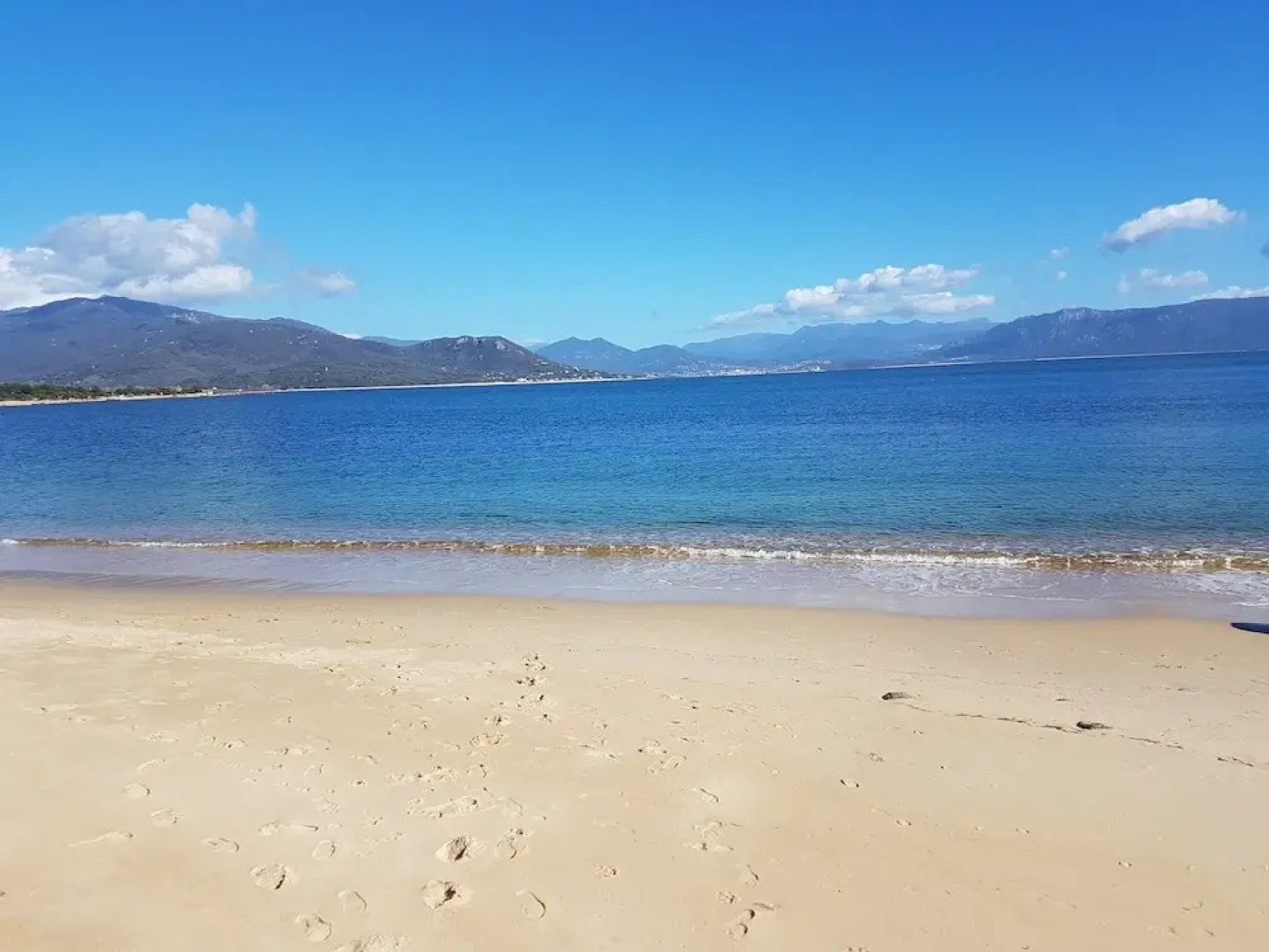 Incarnita Et Jean Claude