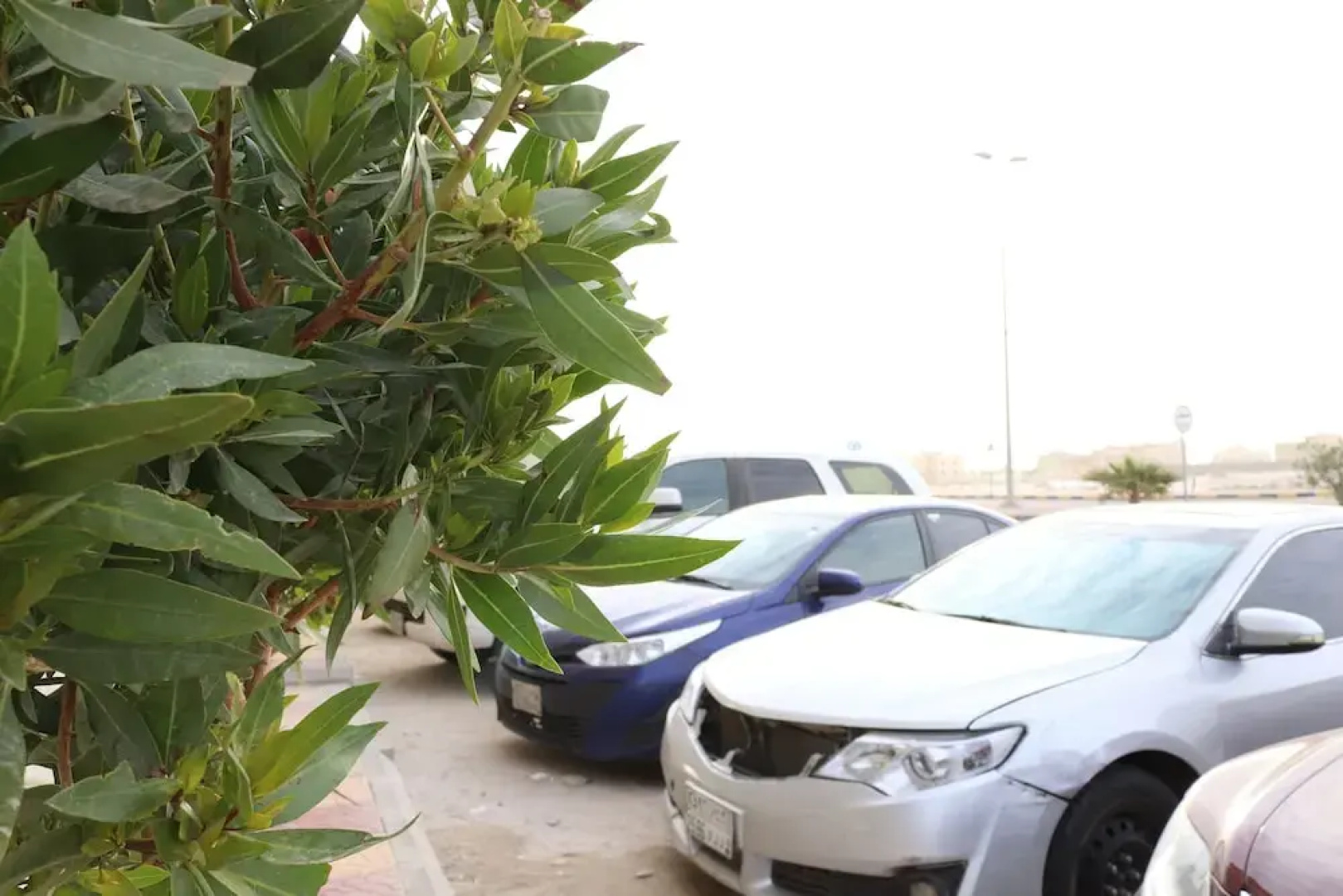 Merouj Alkhaleej