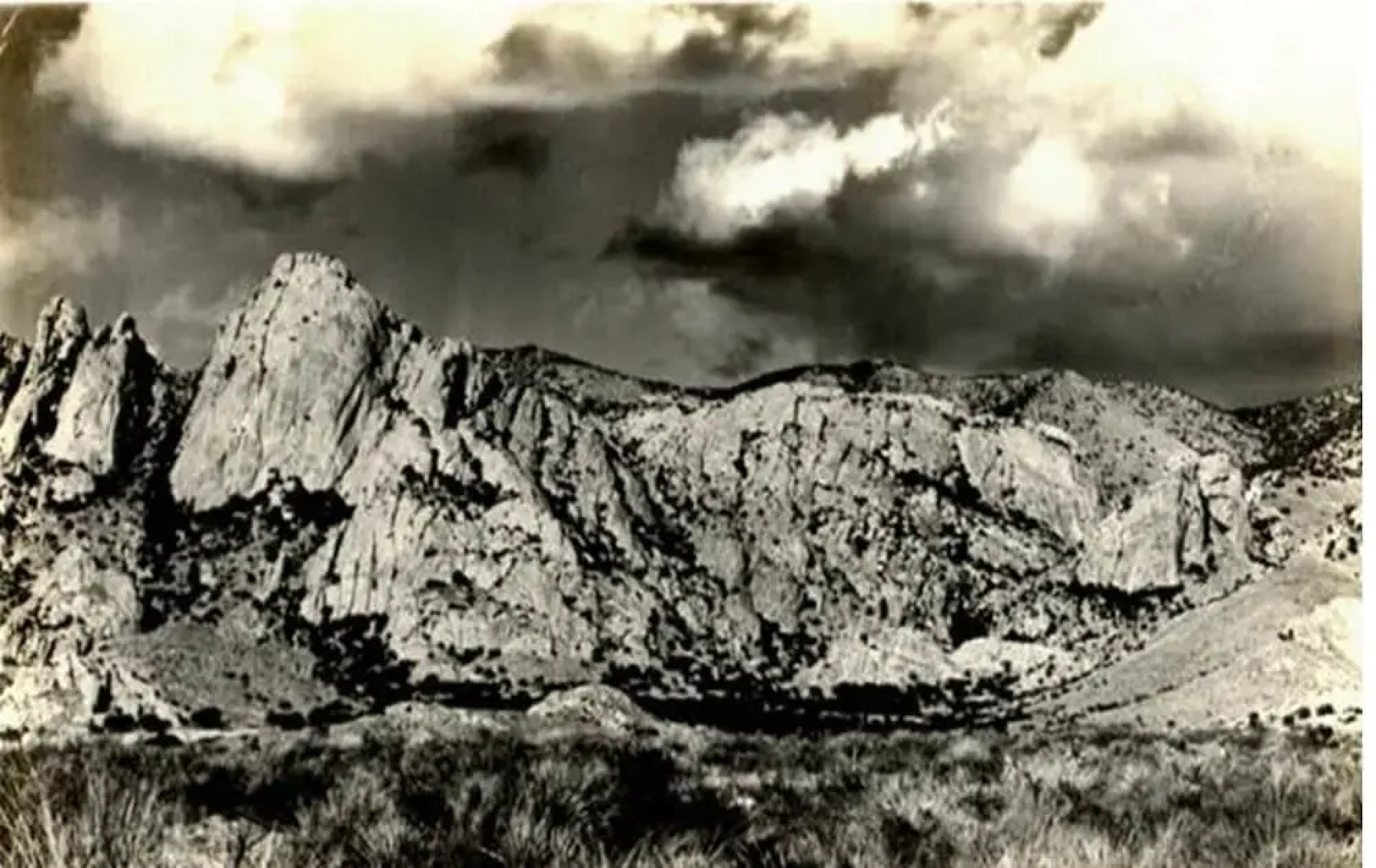 Vigilante Inn Immortal Camp