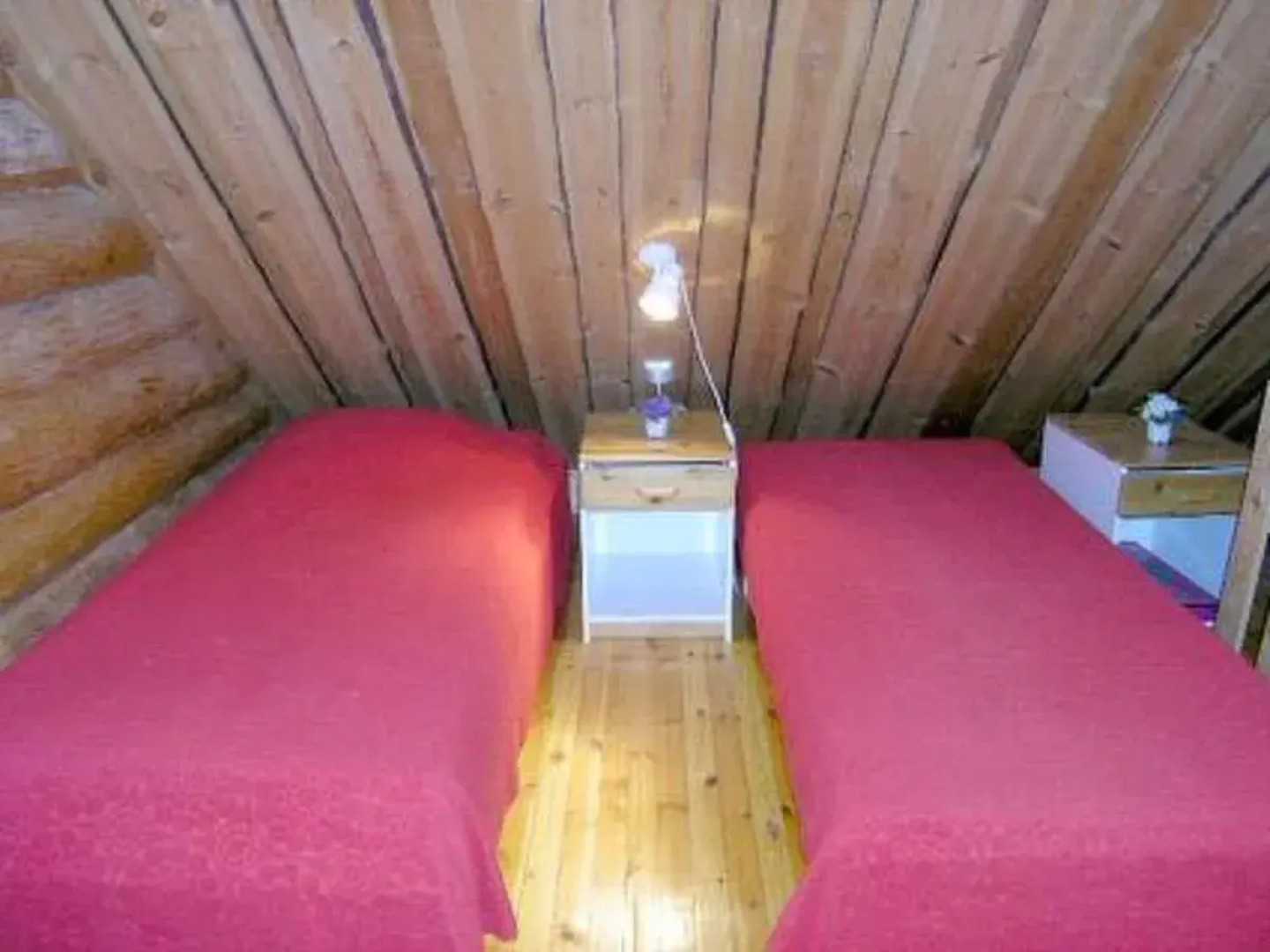 Tunturitähti, lainio