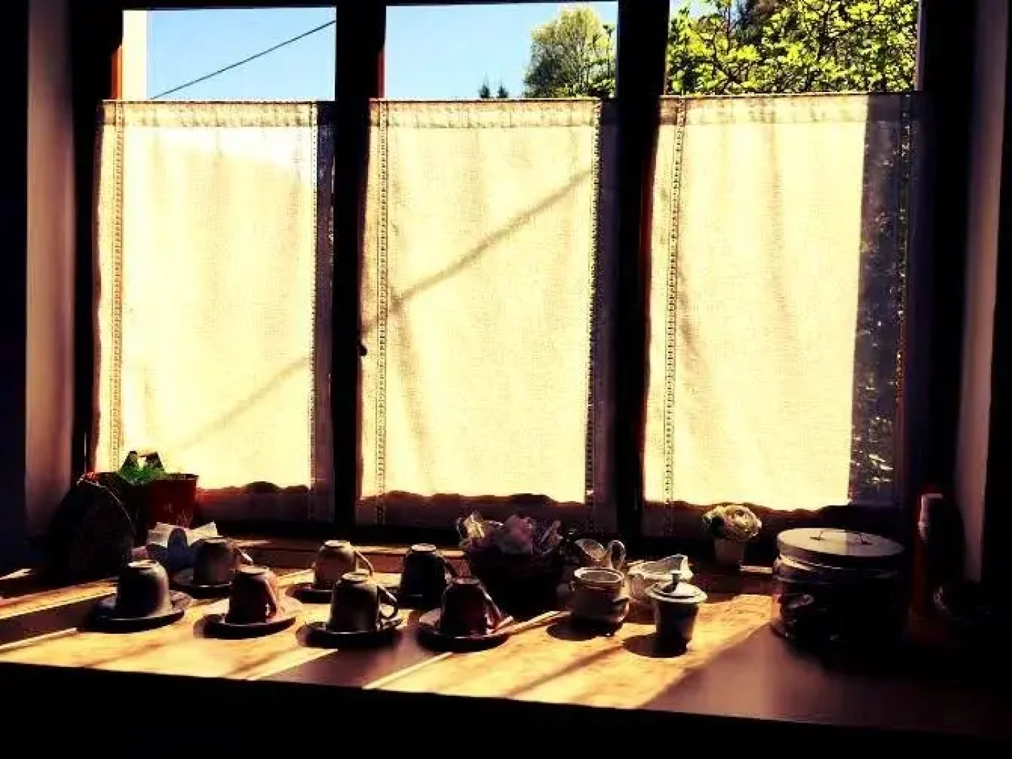 La Collina di Albiro B&B