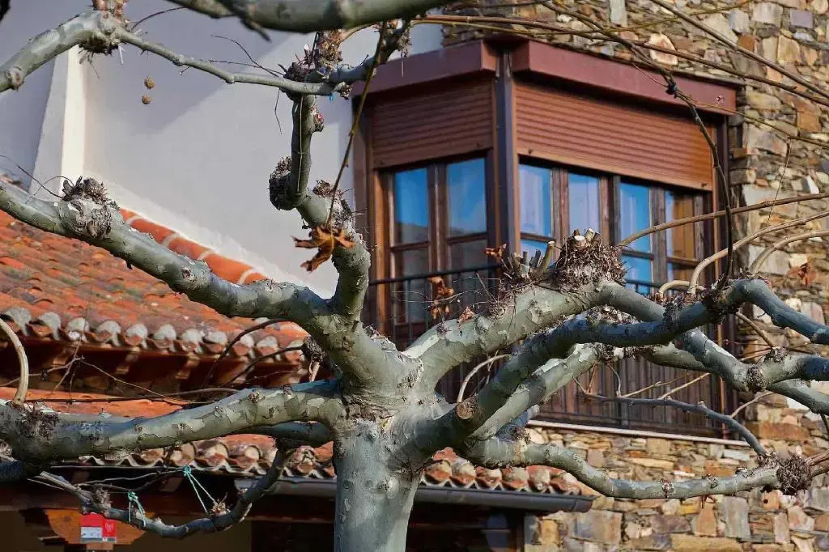 Hotel Valle Del Eria