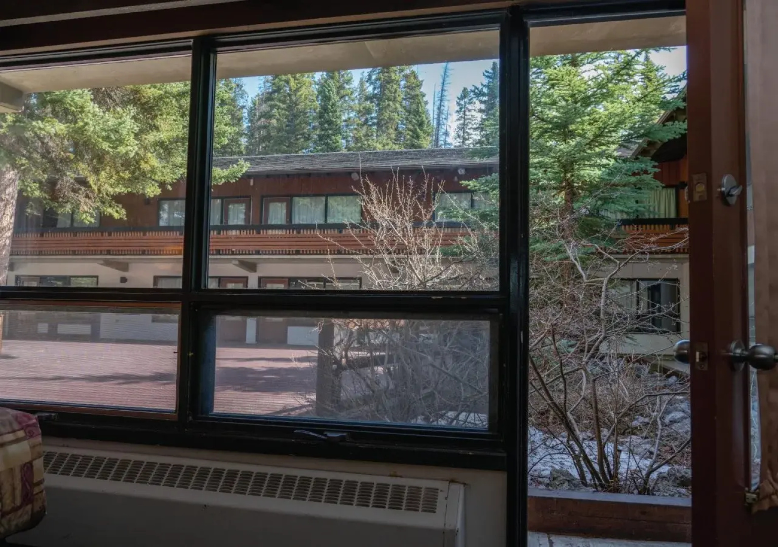 The Dorothy Motel