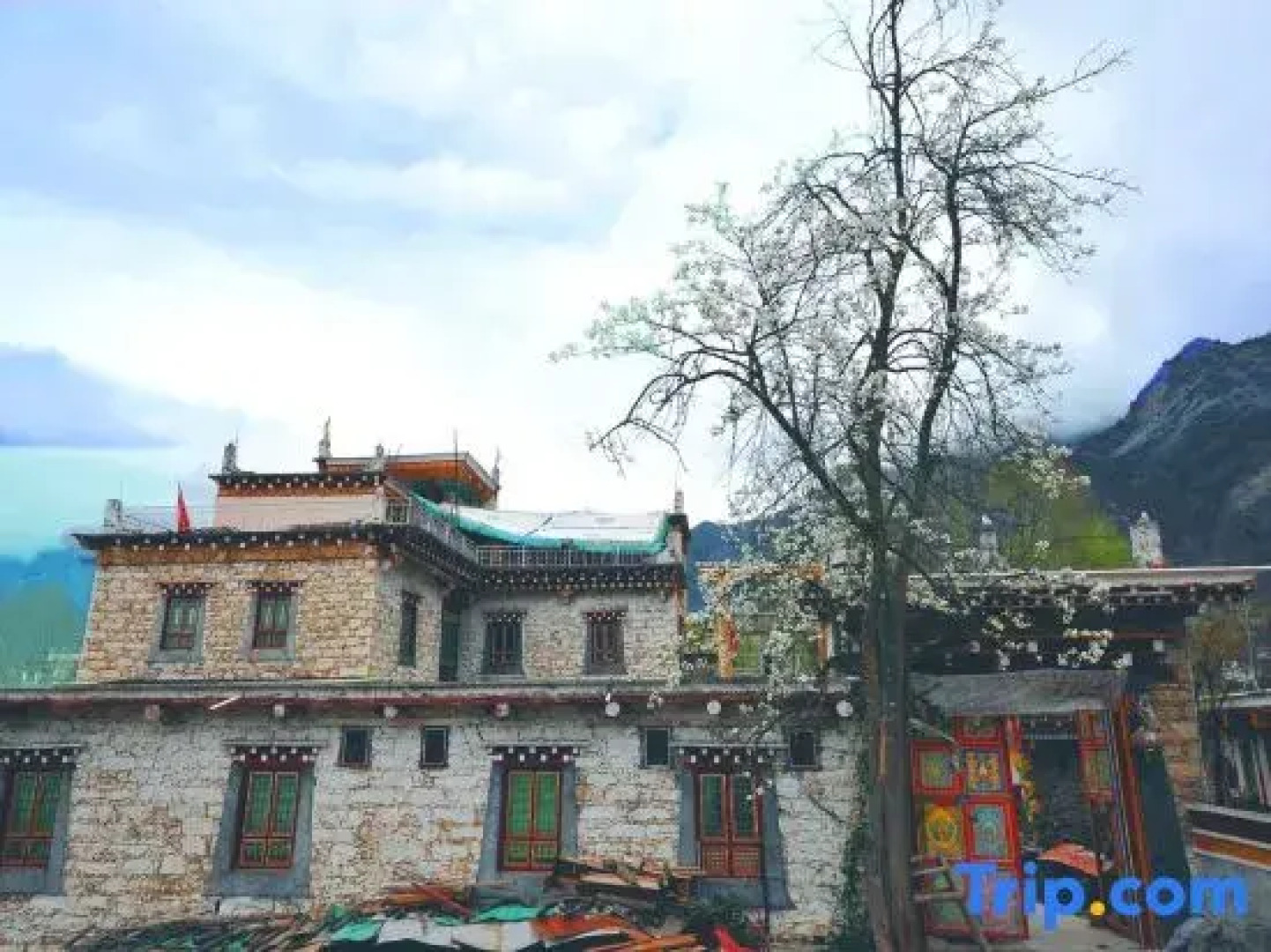 Dezi Qingmai Homestay