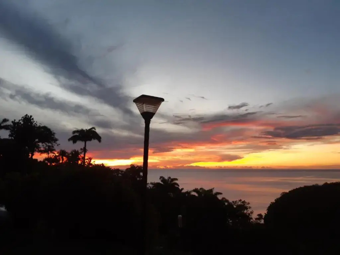 Domaine Choco Vanille