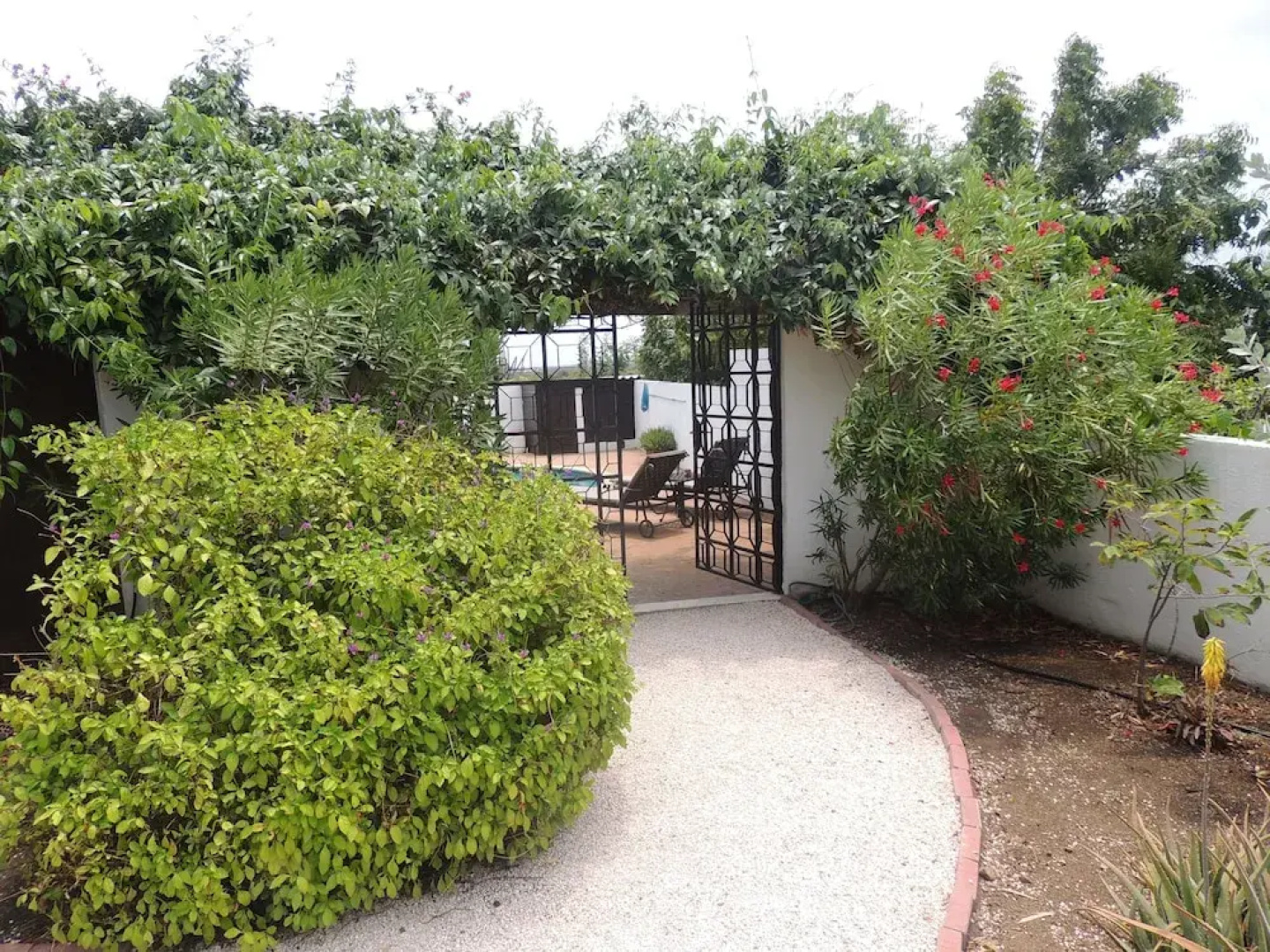 B&B Hacienda La Bougainville