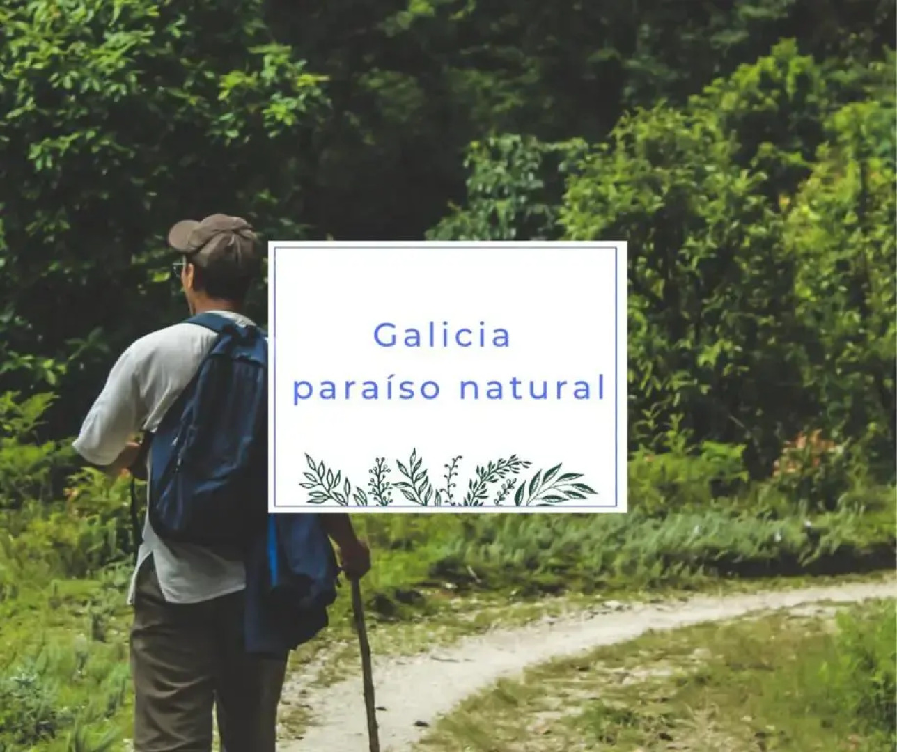 Moderno y acogedor apartamento en el casco histórico