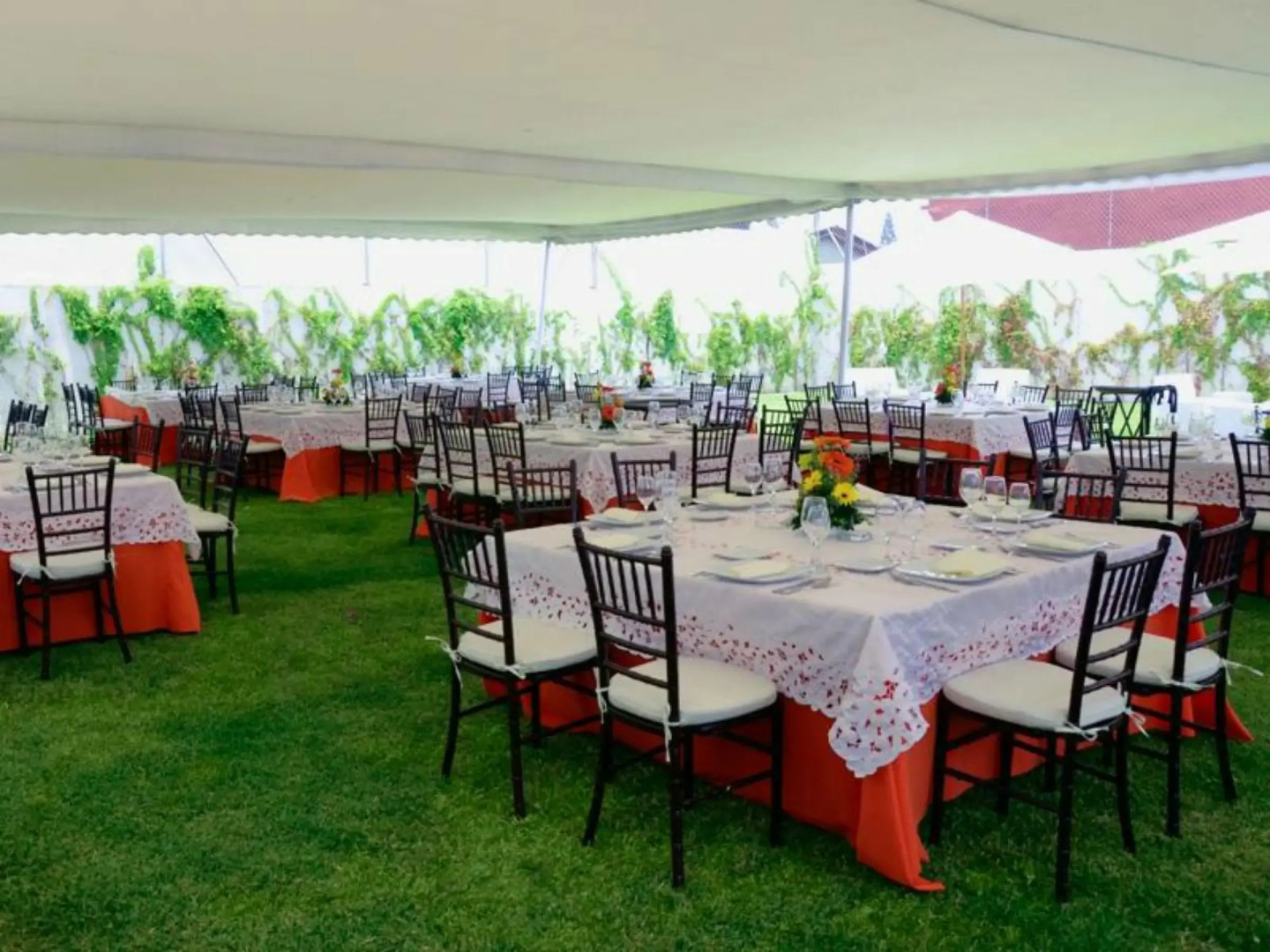 Hotel del Real del Sol