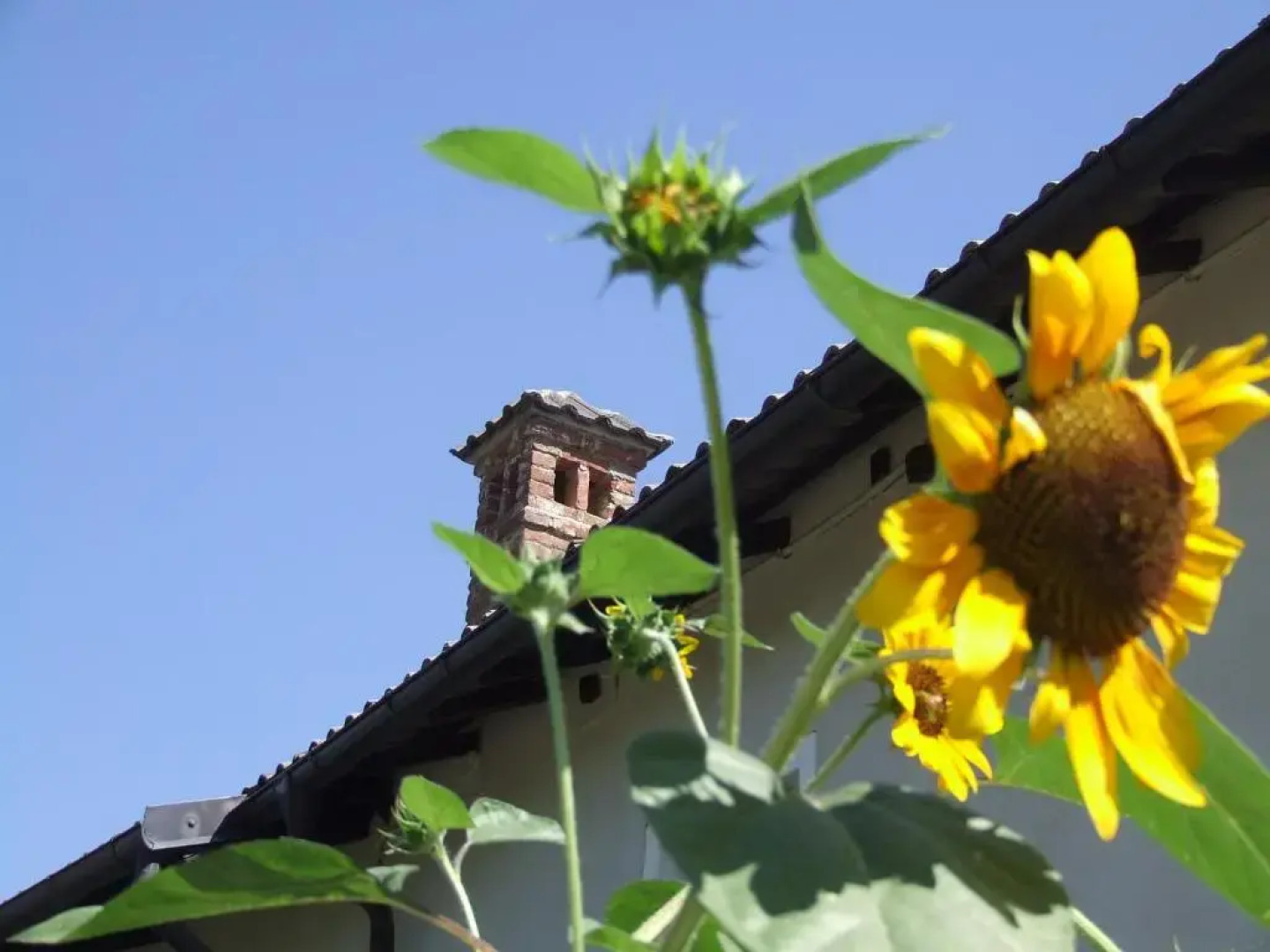 La Meridiana, Monolocale in Cascina Ristrutturata