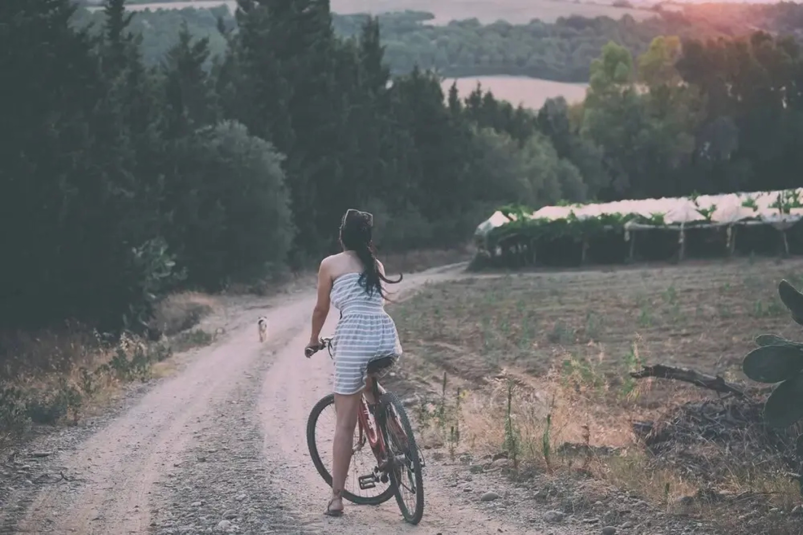 Borgo Valle Rita - Country Resort