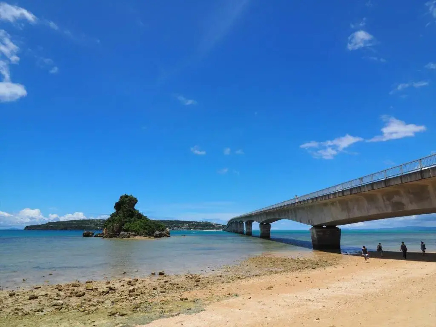 One Suite The Terrace