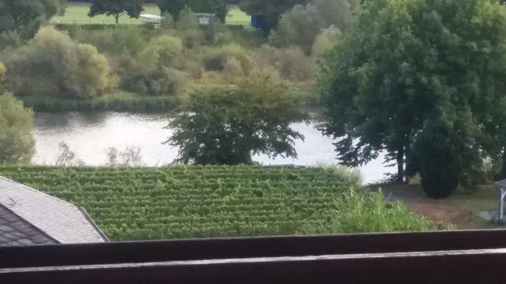 Gästehaus-Weingut Michael Scholer